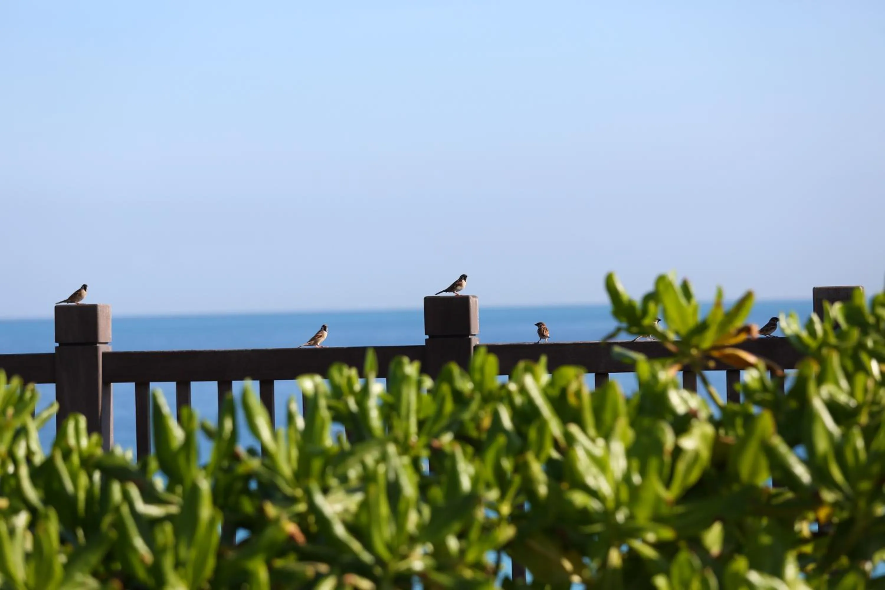 Property building in Seven Stars Sunrise,Seven Stars DEAR