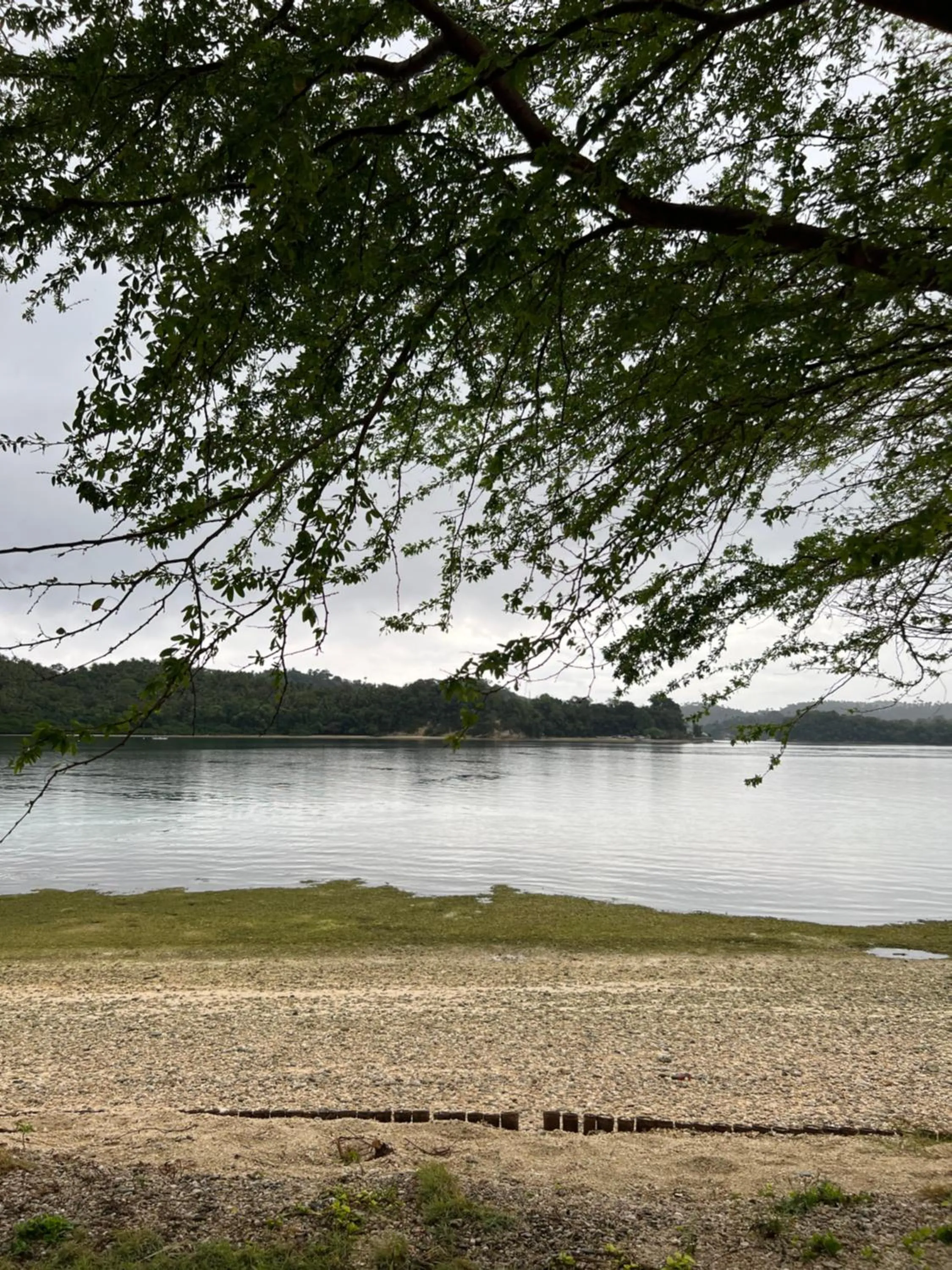 Natural landscape in Fridays Puerto Galera