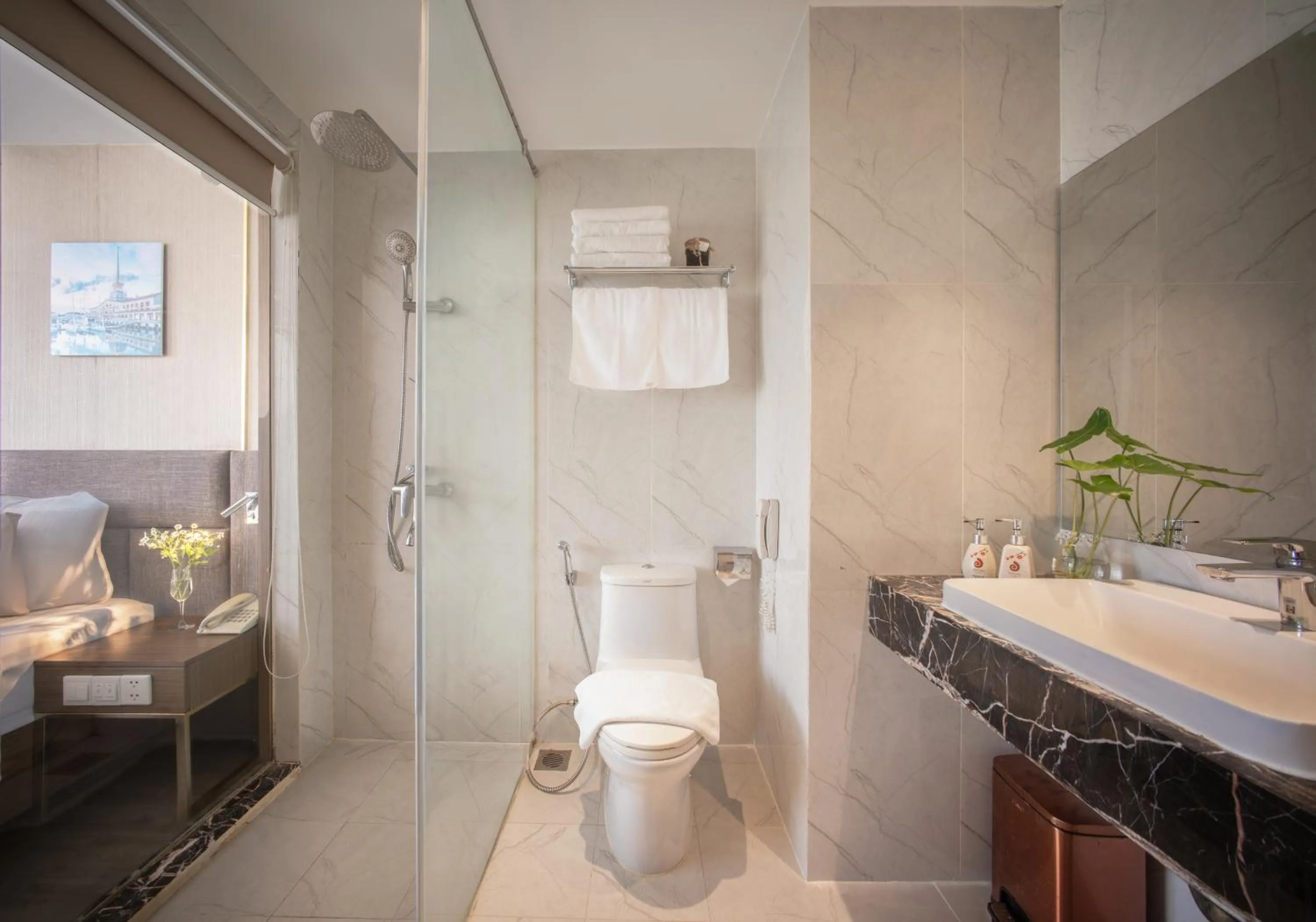 Toilet in Sochi Hotel