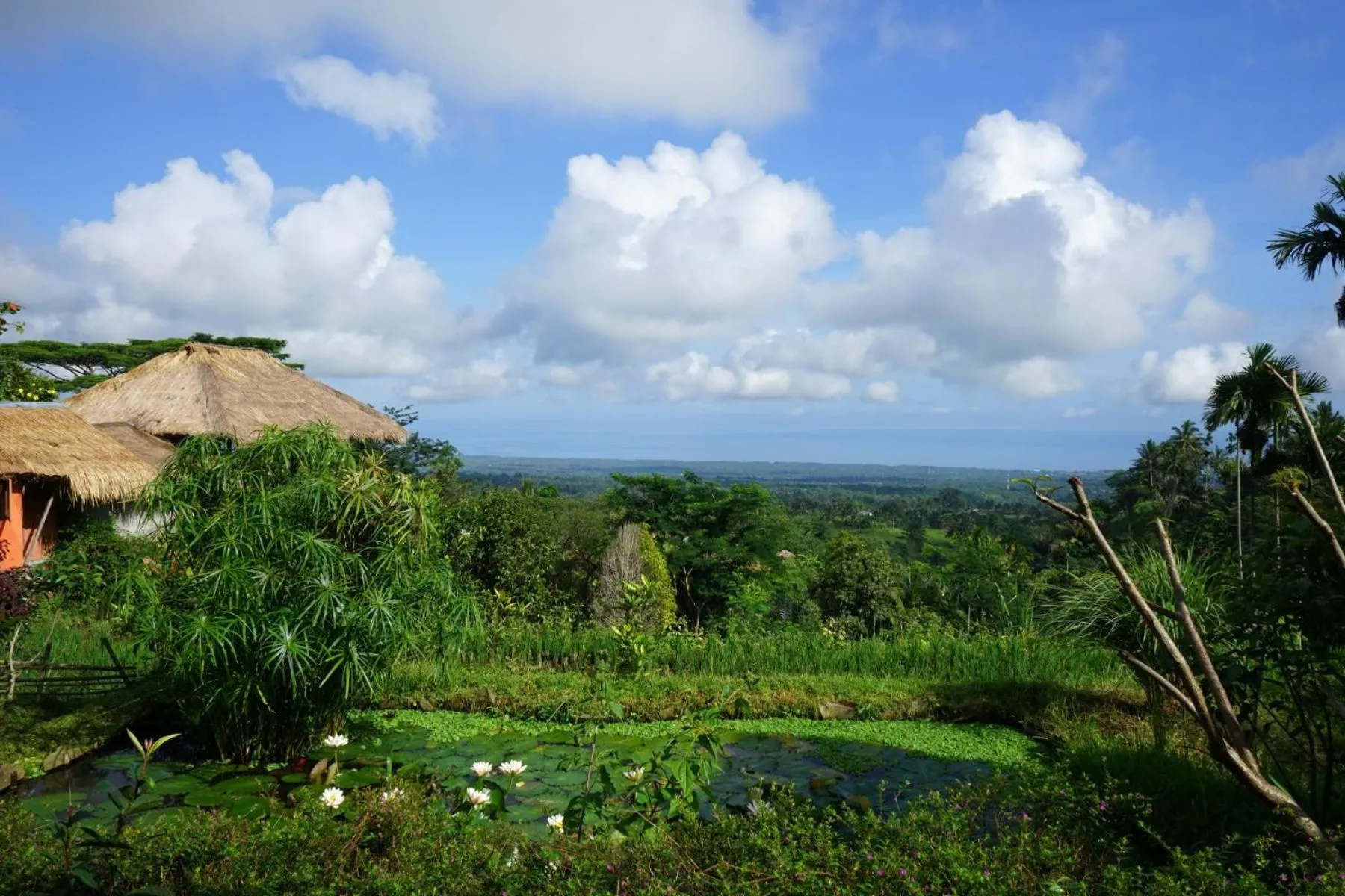 Rinjani Mountain Garden