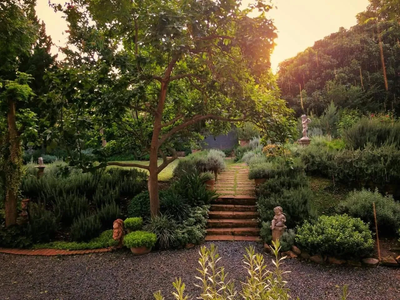 Garden in Rosemary House