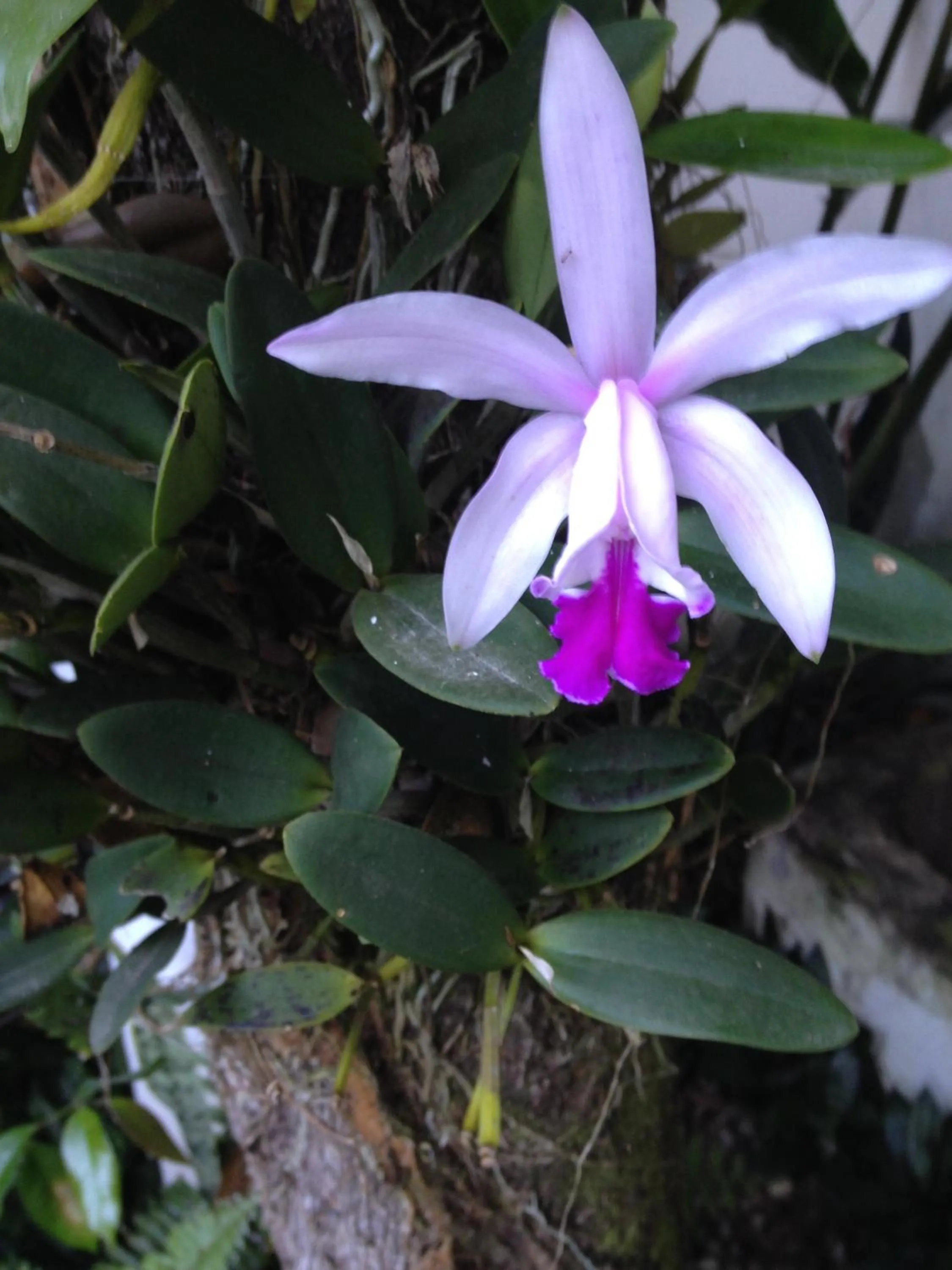 Art Hotel Aos Sinos Dos Anjos