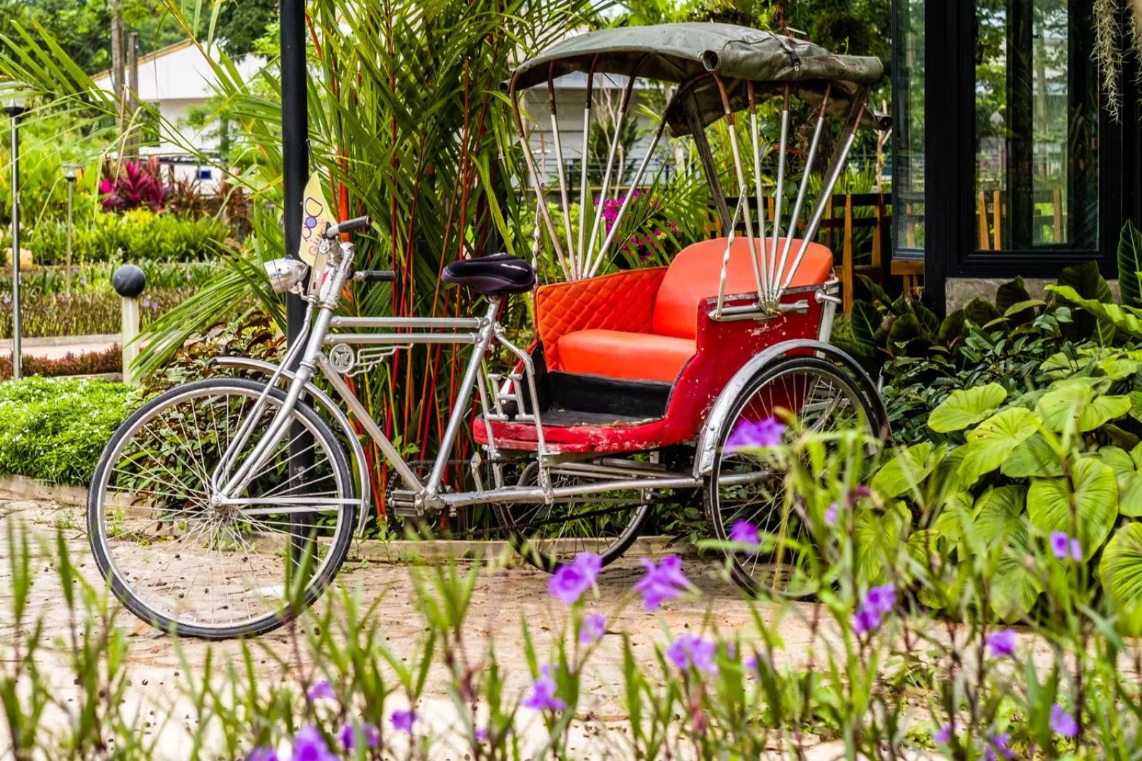 Natural landscape in DD Garden Home