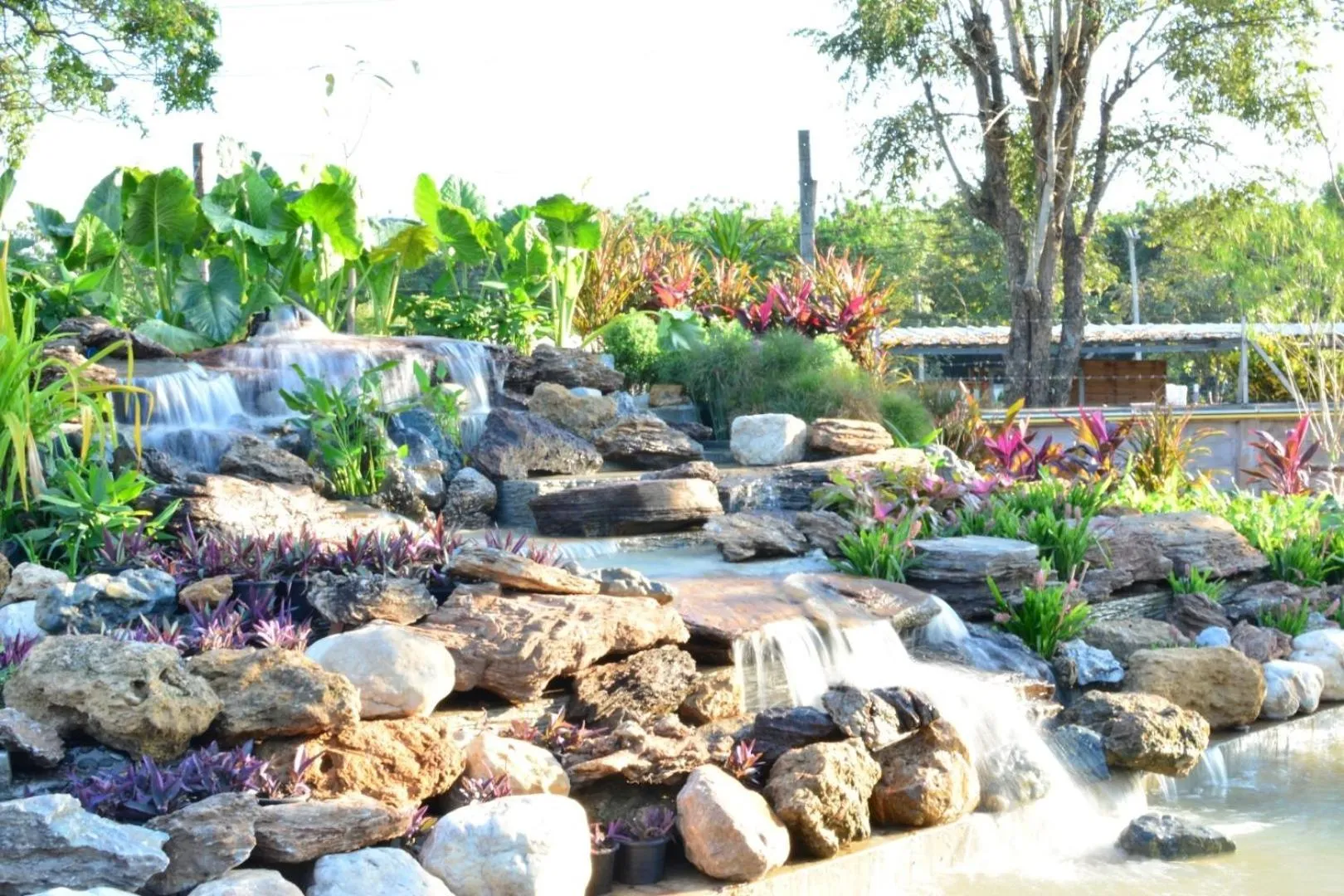 Property building in DD Garden Home