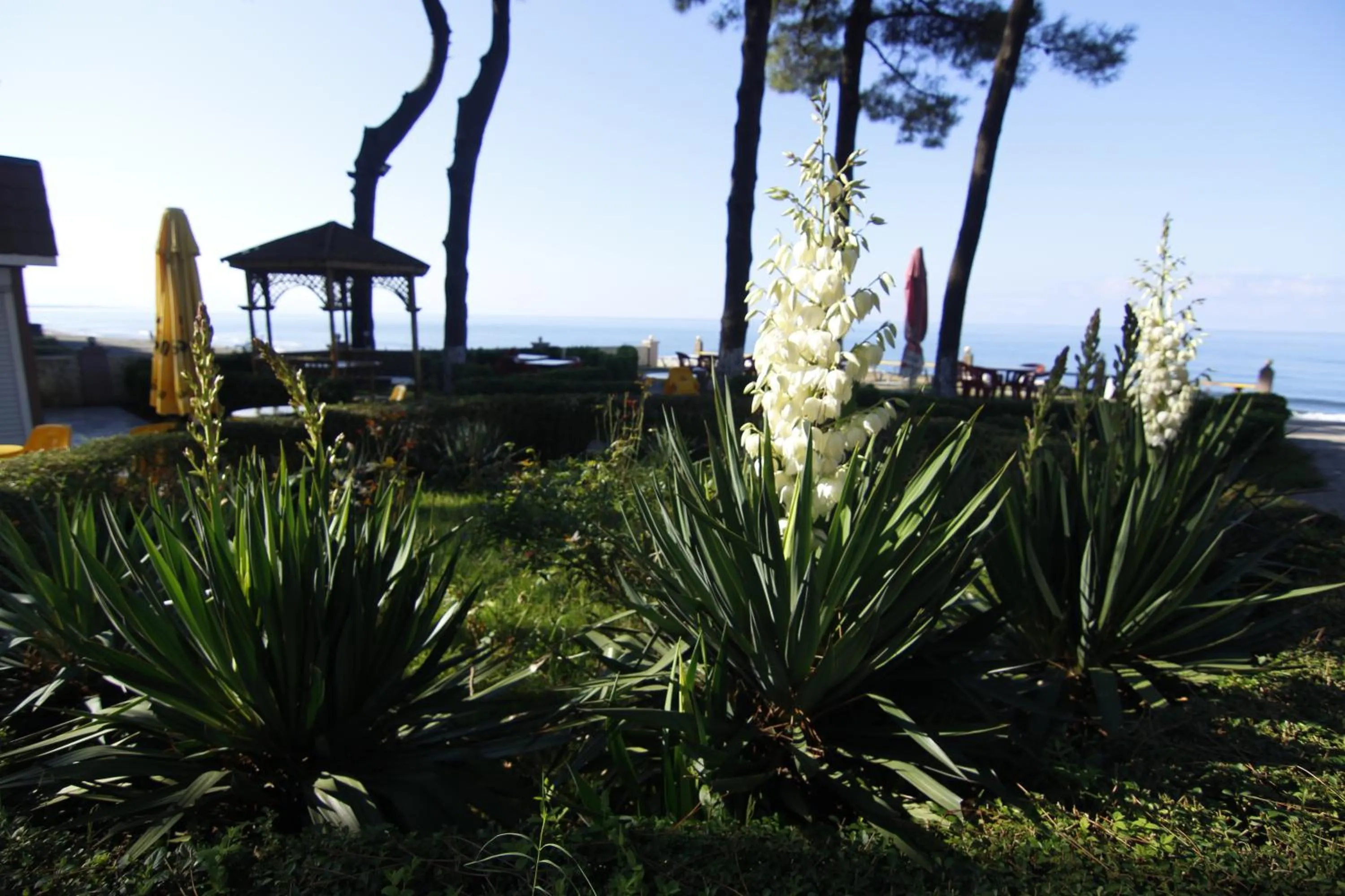 Garden in Villa ReTa Hotel & SPA