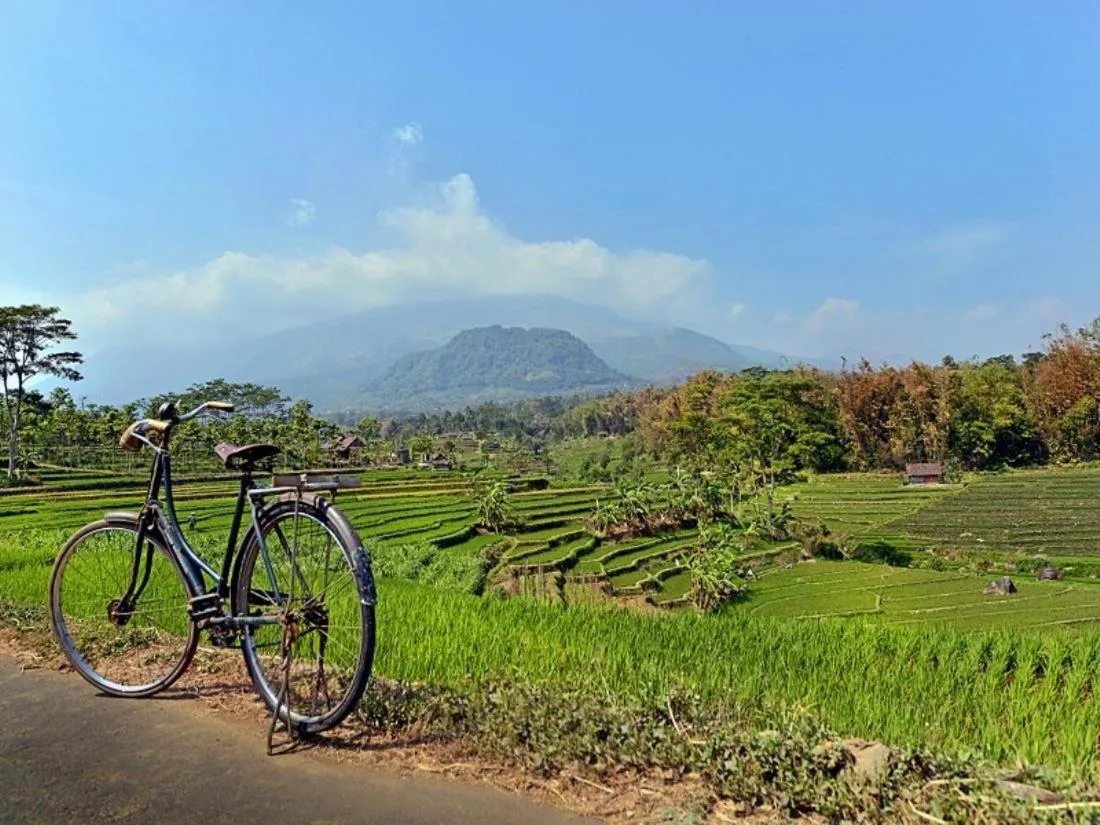 Natural landscape in Grand Whiz Hotel Trawas Mojokerto