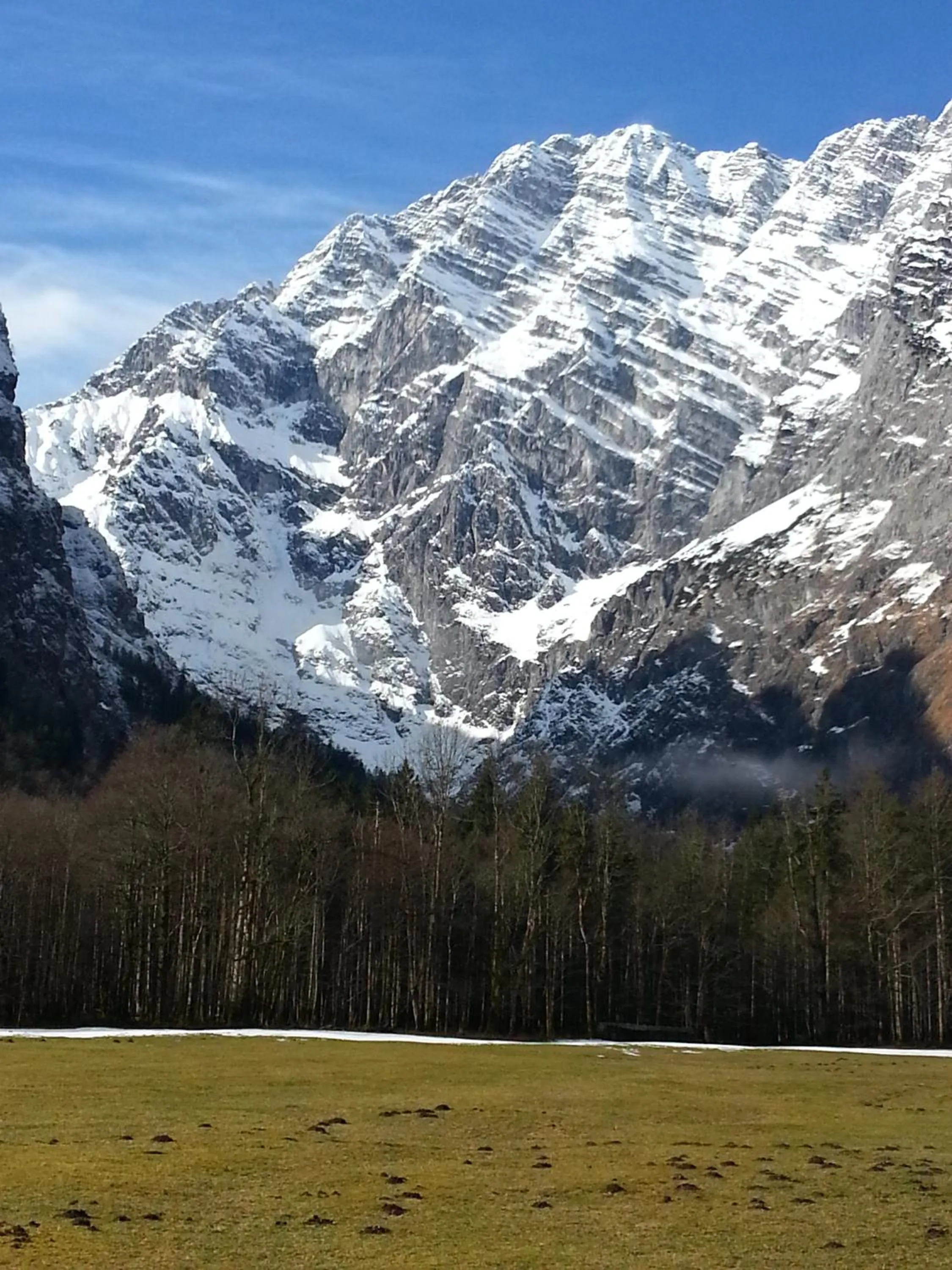 Natural landscape in Tourist Hotel Boehm