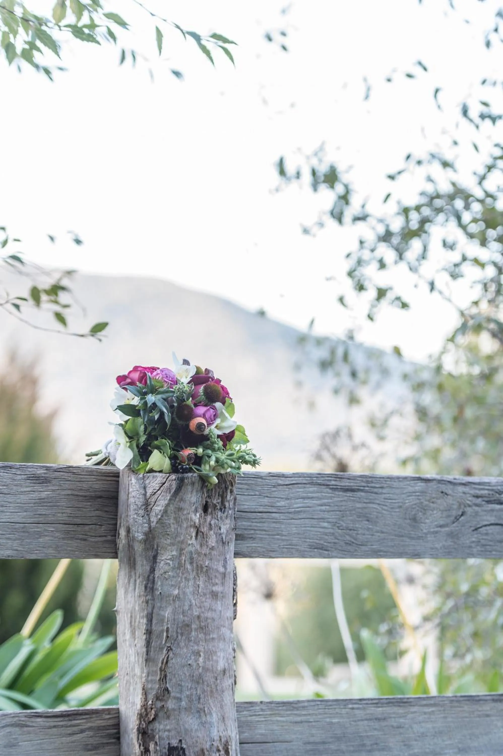 Garden in Macedon Ranges Hotel & Spa