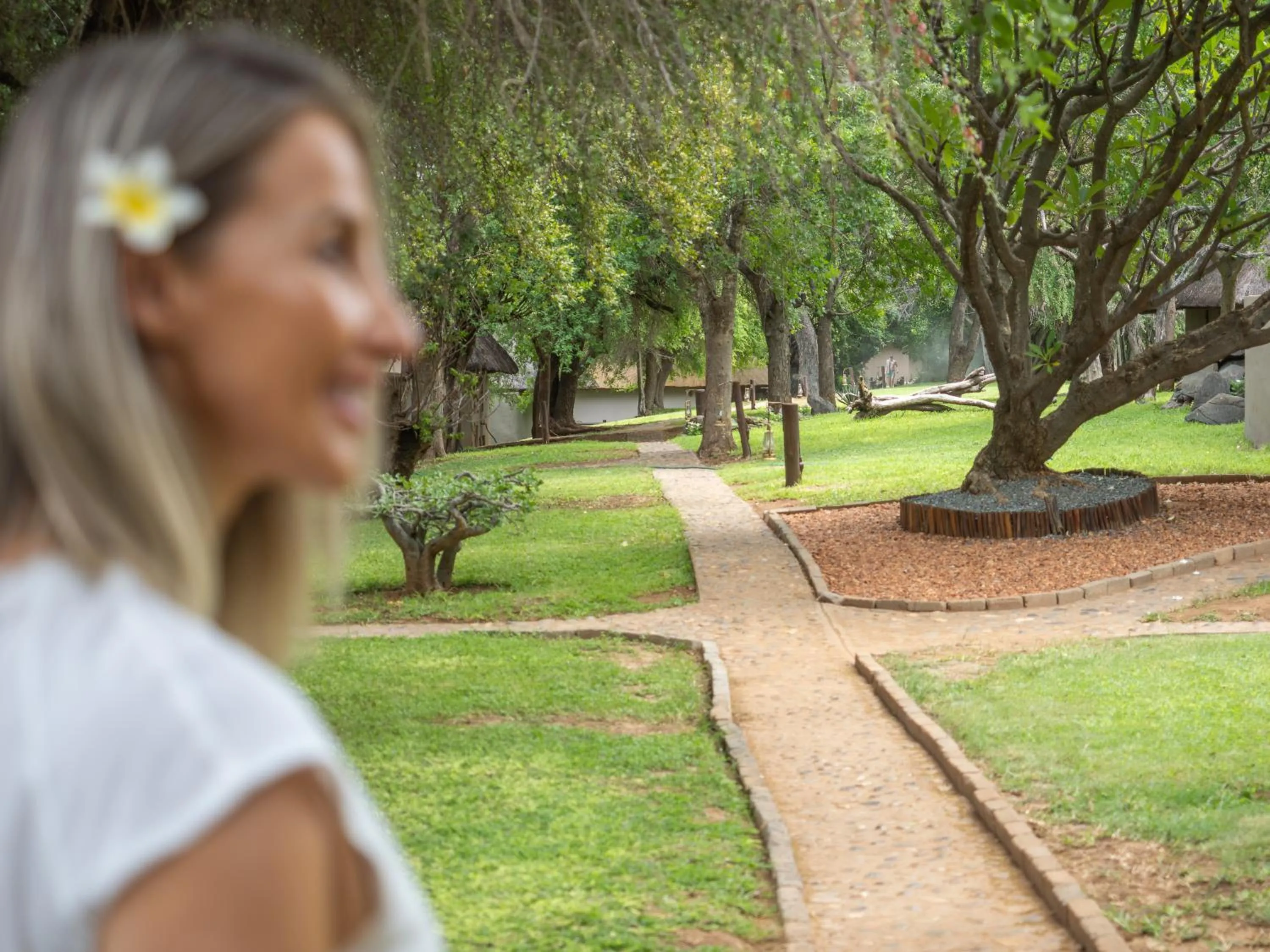 Day in Nyati Safari Lodge