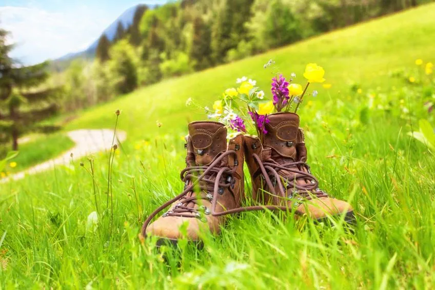 Hiking in The Starnbergsee Hideaway