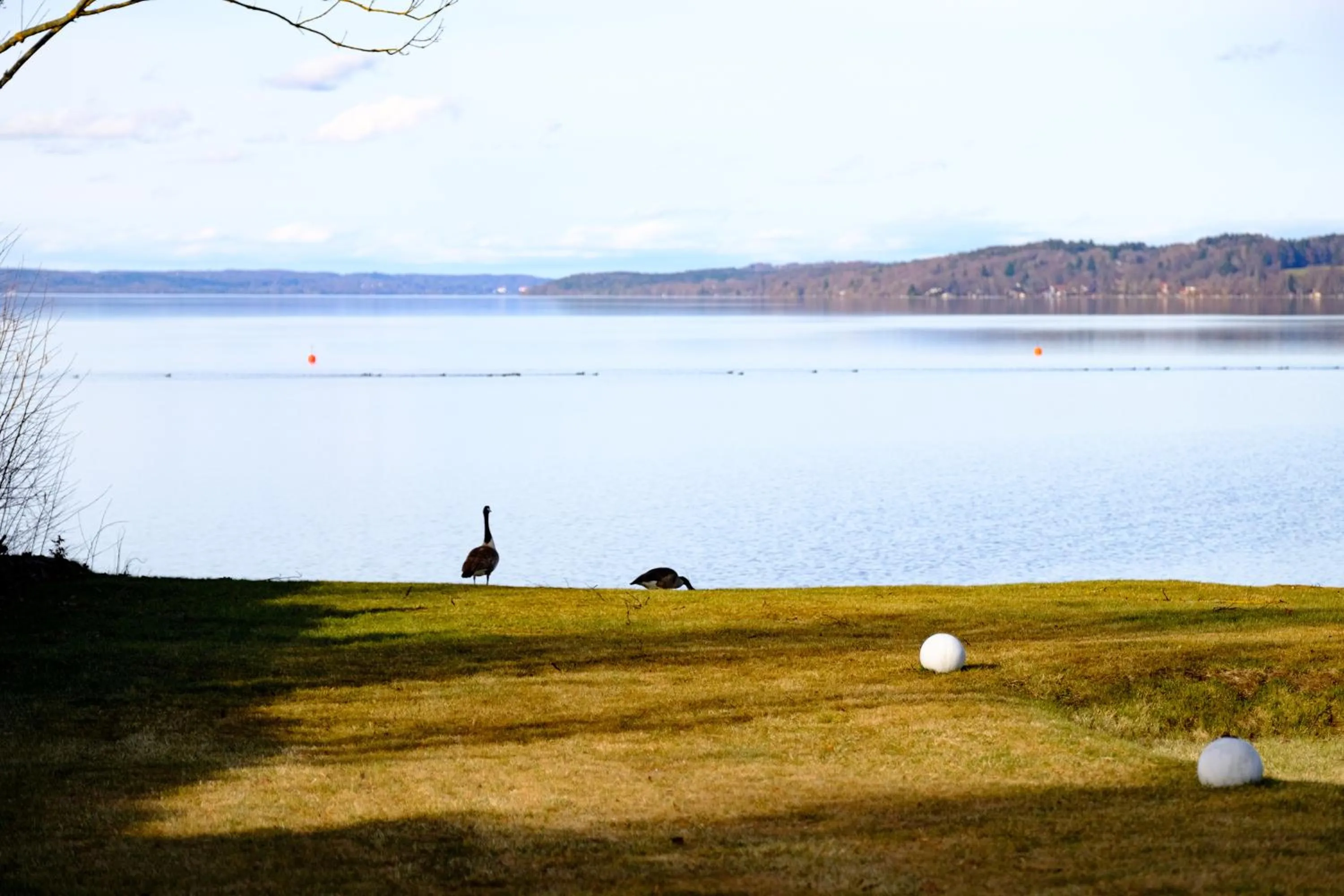Natural landscape in The Starnbergsee Hideaway