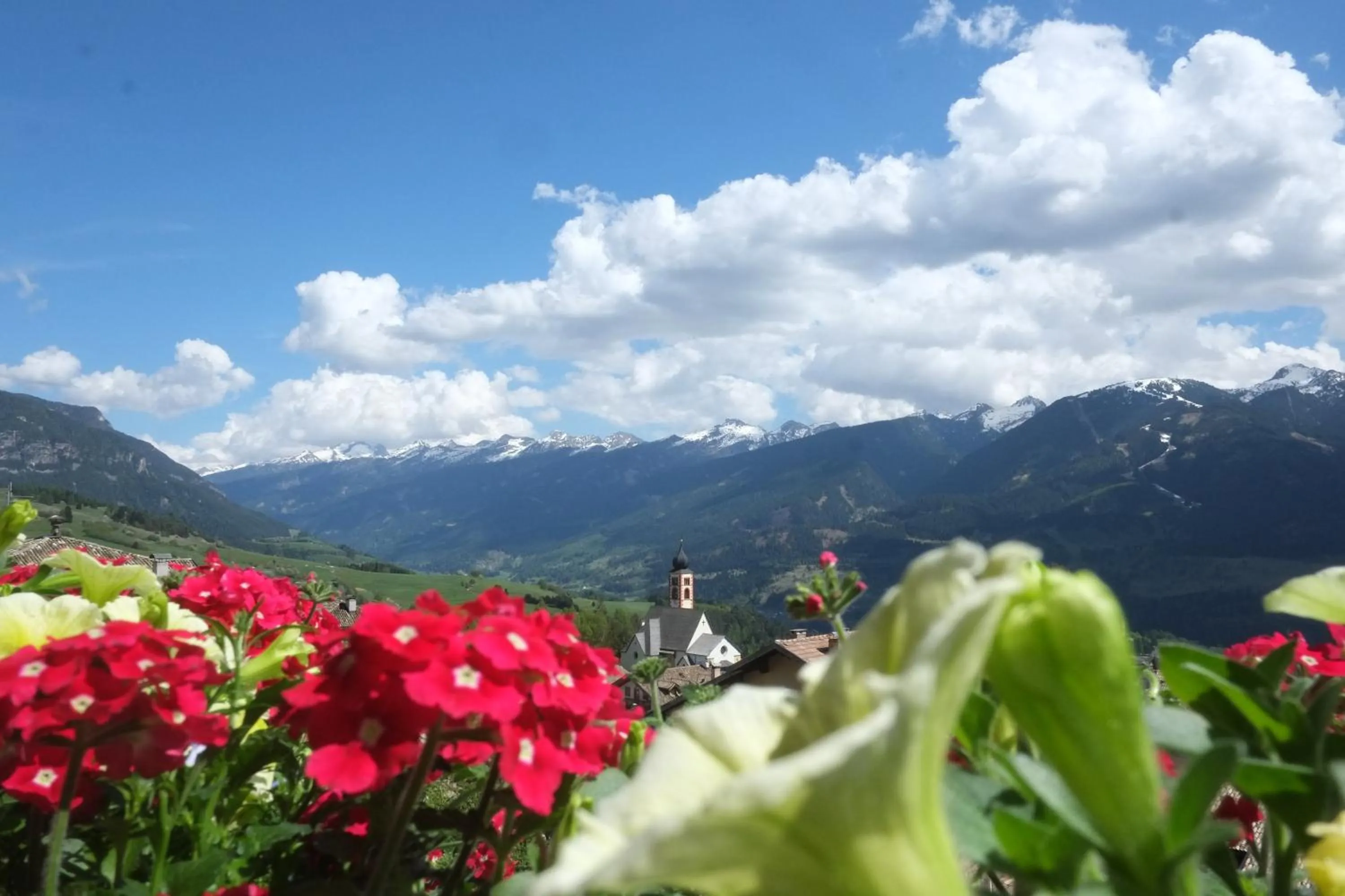 Spring in Residence Miramonti