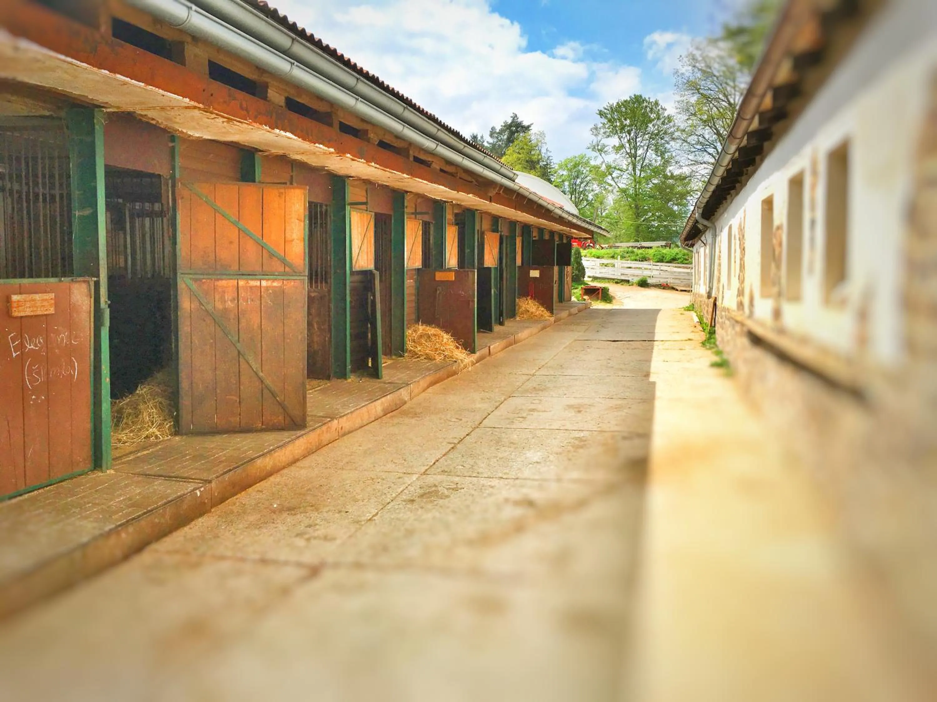 Horse-riding in Penzion Pegas Depoltovice