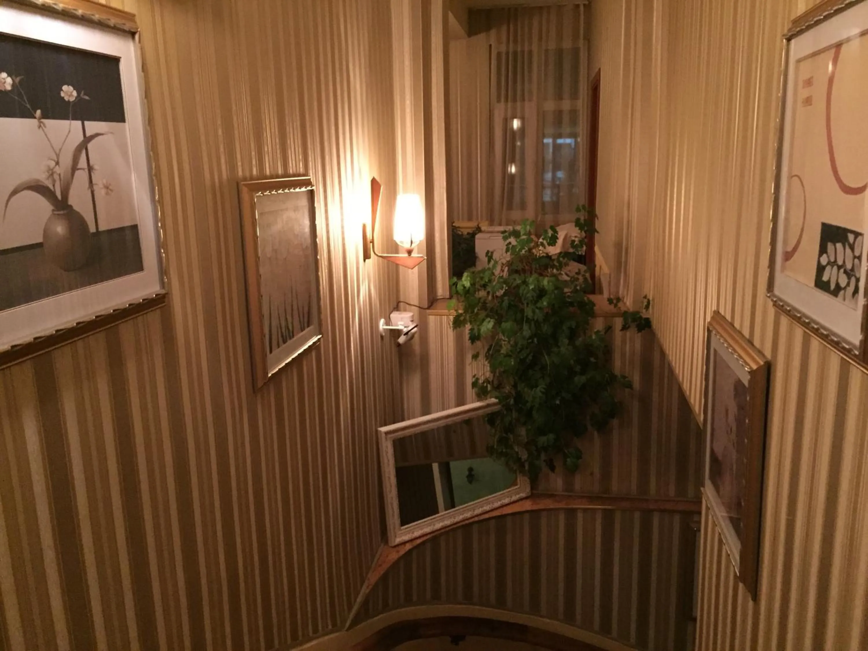 Other in Family Hotel Chiplakoff