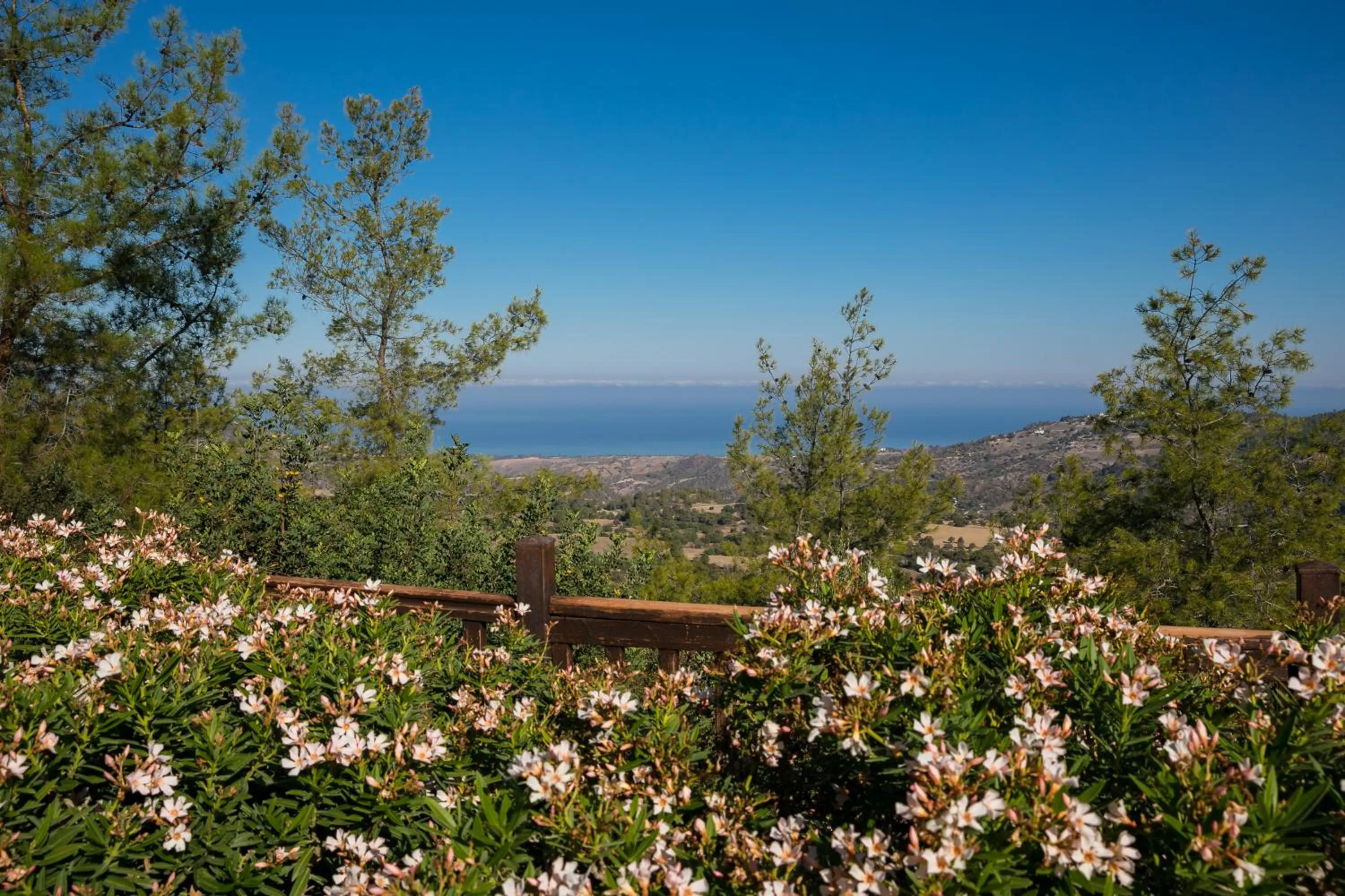 Demetriou Paradisos Hills Hotel