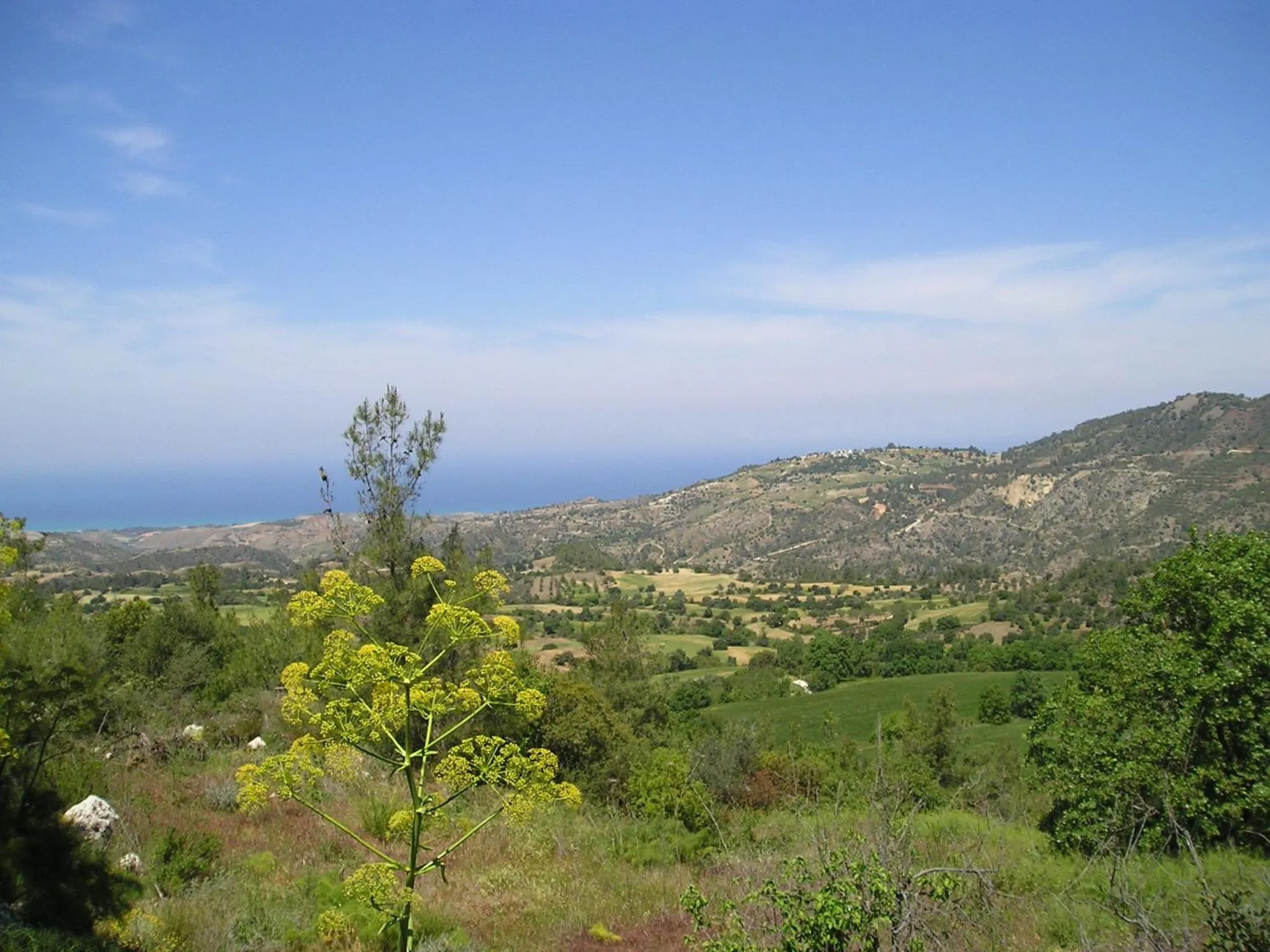 Day in Demetriou Paradisos Hills Hotel