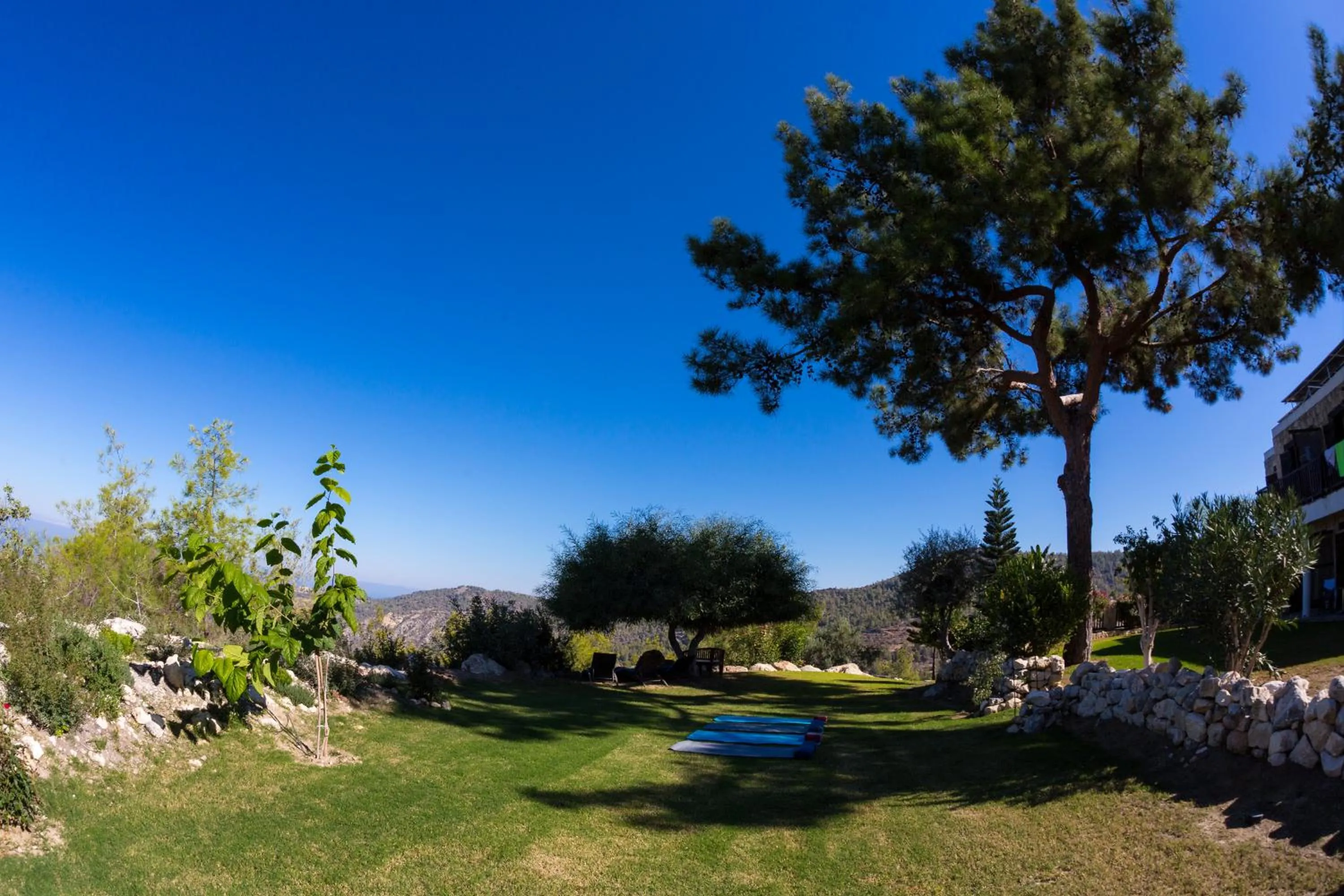 Demetriou Paradisos Hills Hotel