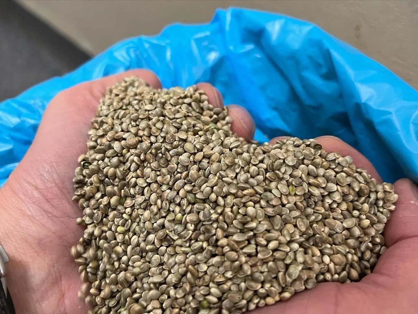 Restaurant/places to eat in Hotel Haunstetter Hof Augsburg