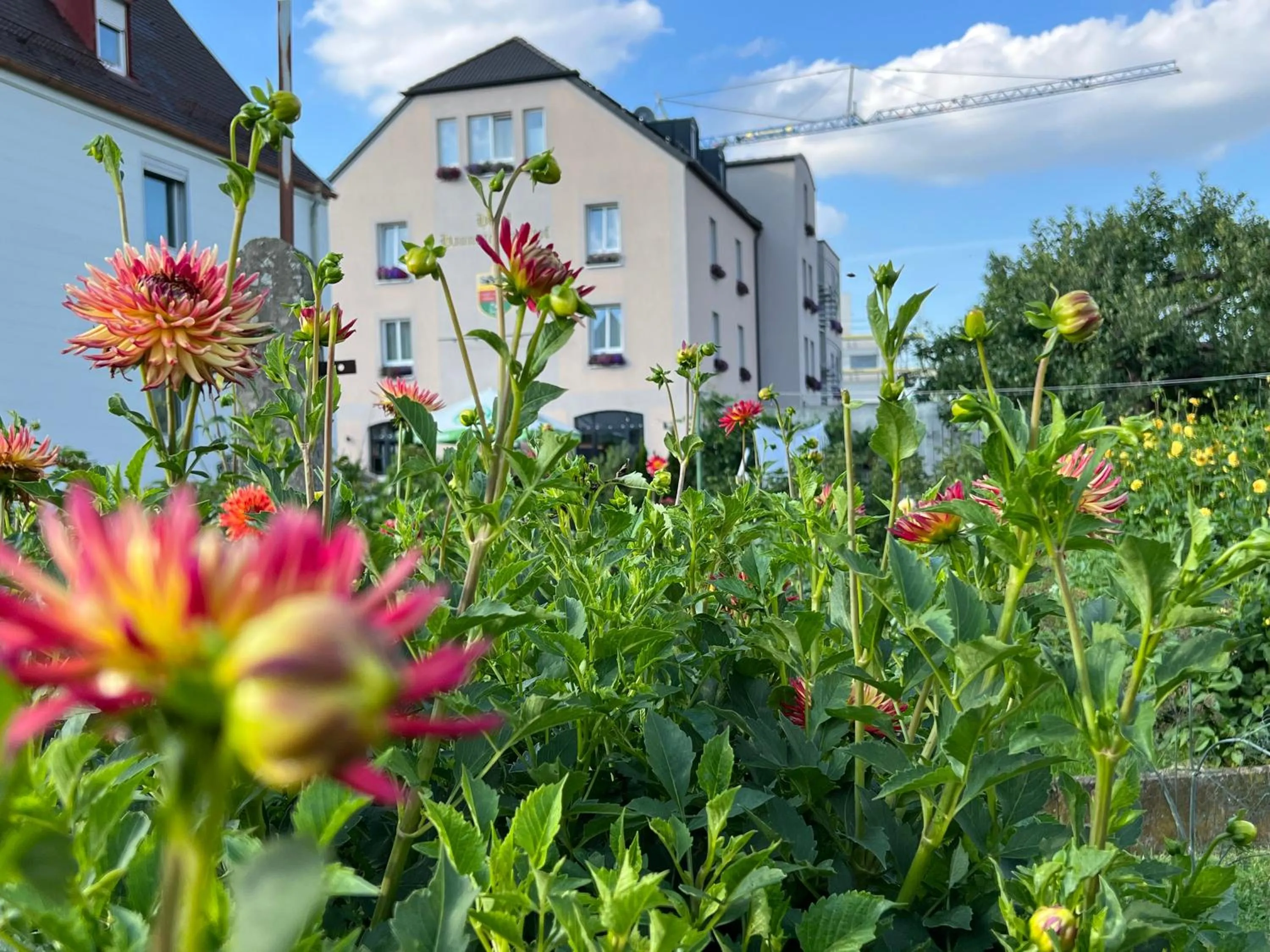 Property building in Hotel Haunstetter Hof Augsburg