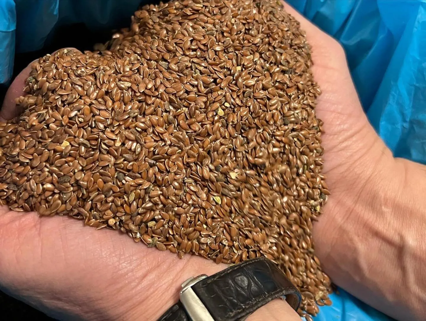 Restaurant/places to eat in Hotel Haunstetter Hof Augsburg