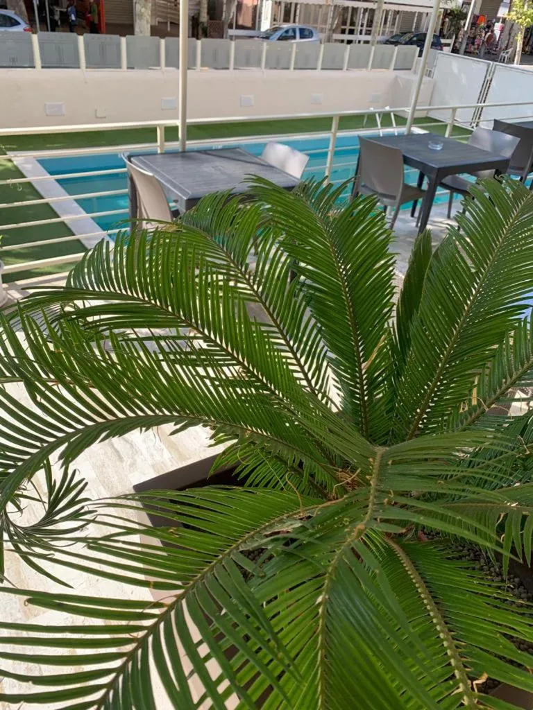 Balcony/Terrace in Hotel Audi Frontemare