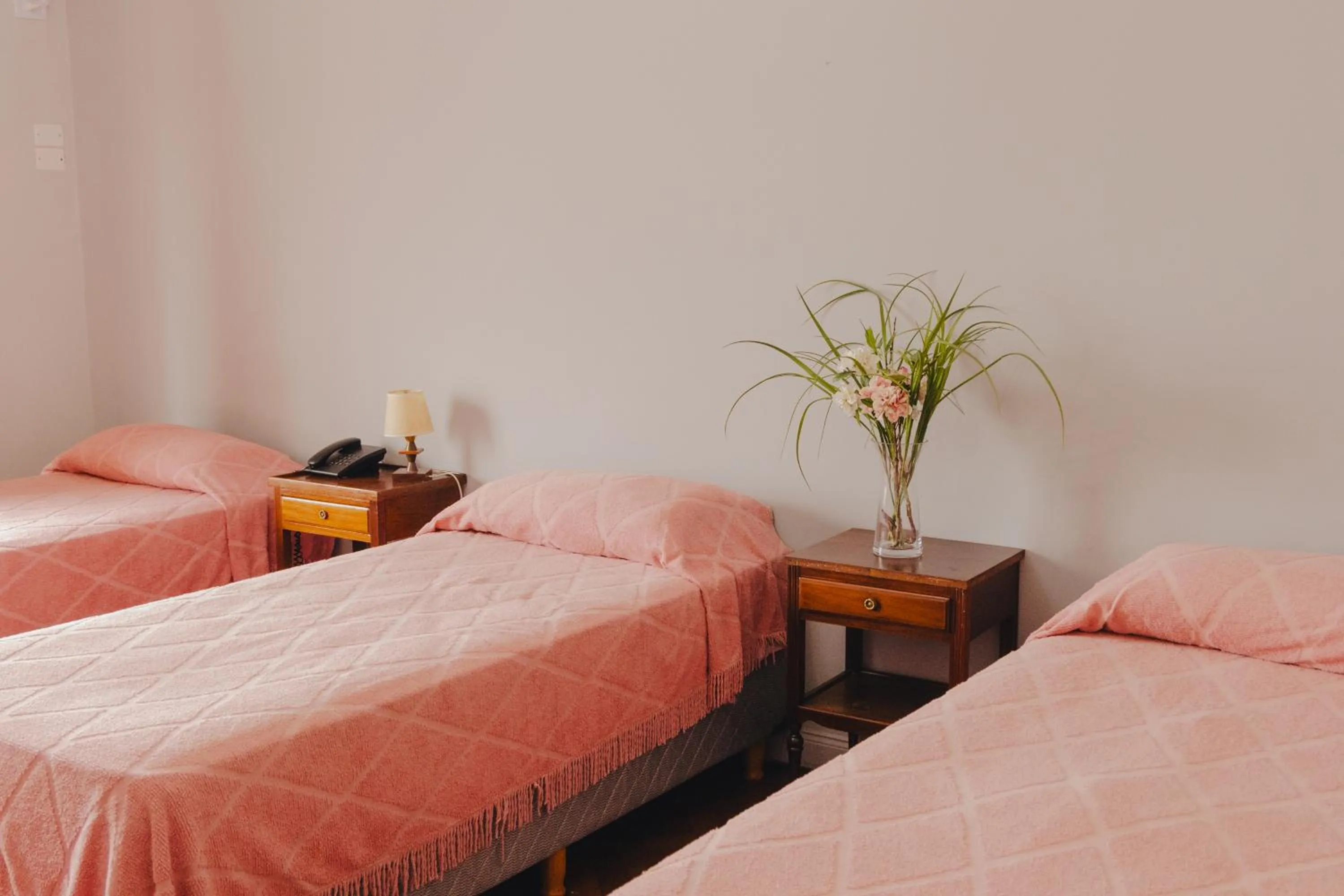 Constitución Palace Hotel