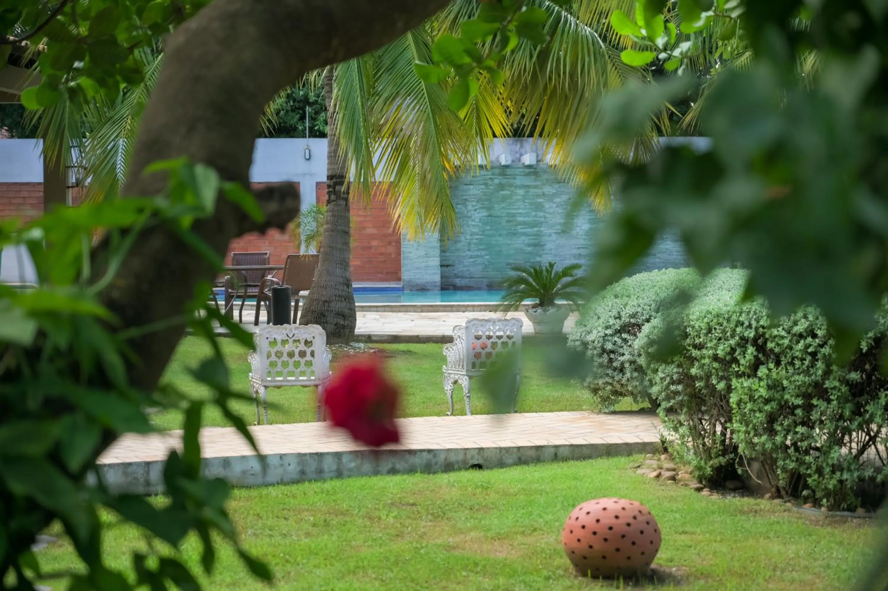 Garden in Delcas Hotel