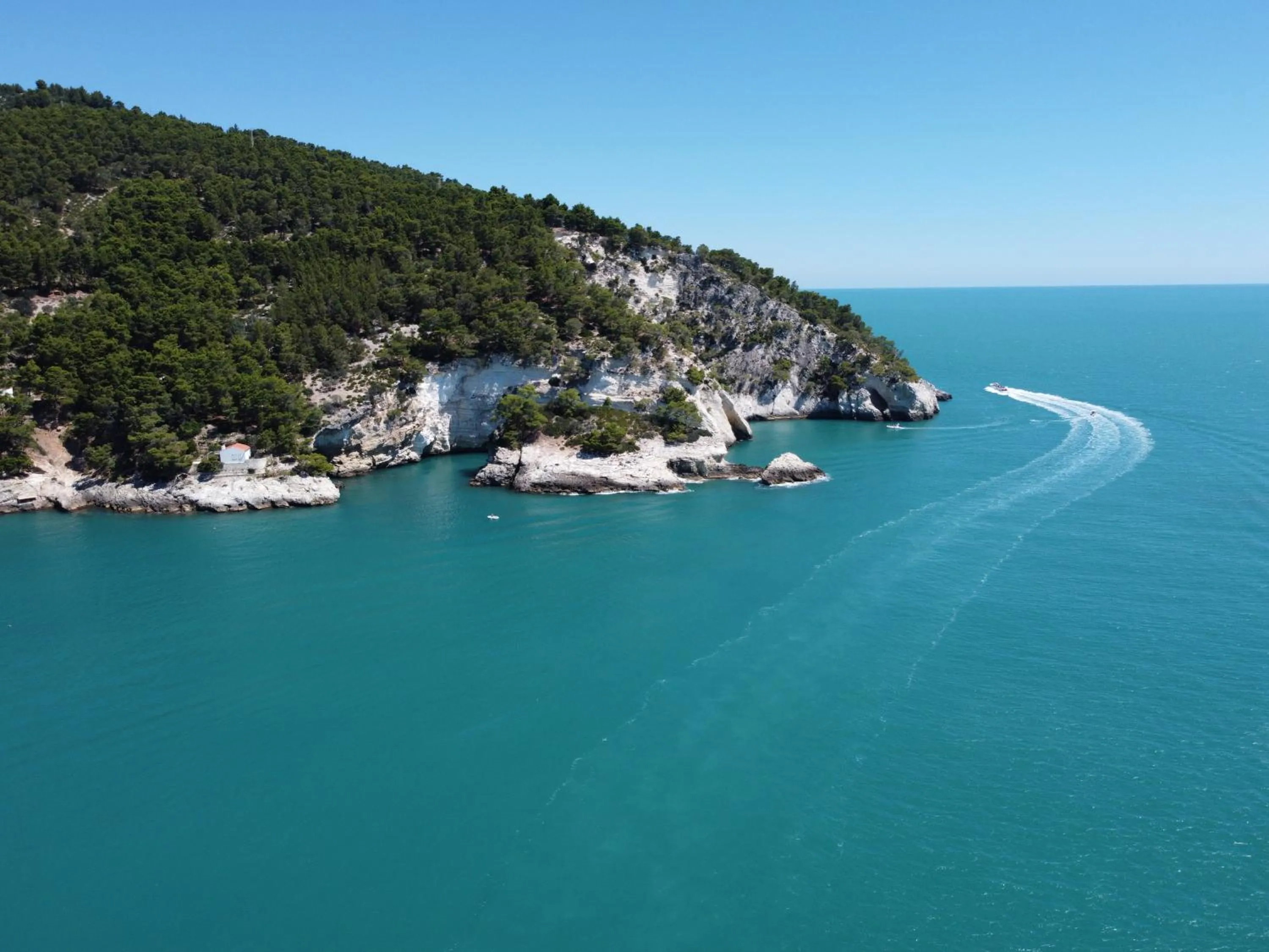 Sea view in Hotel degli Ulivi