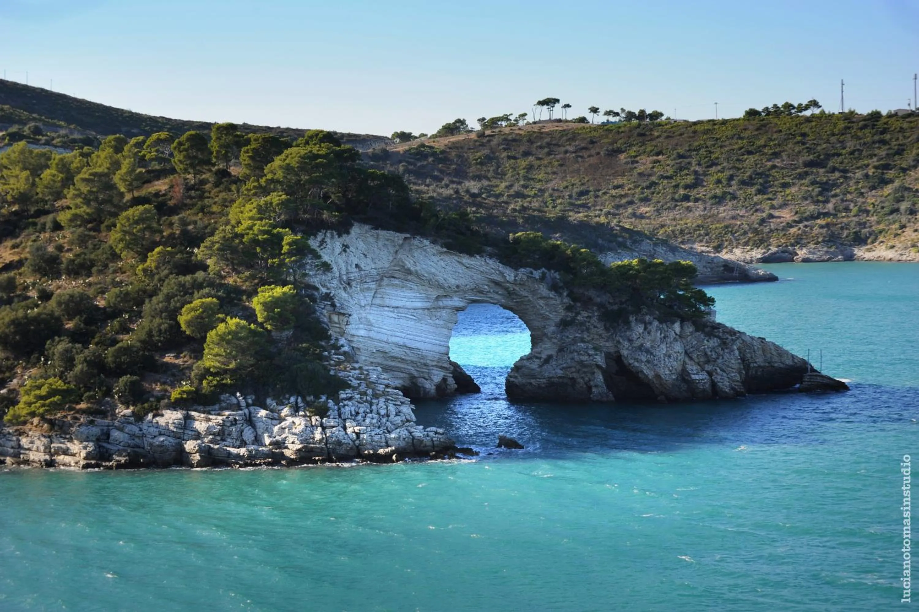 Natural landscape in Hotel degli Ulivi