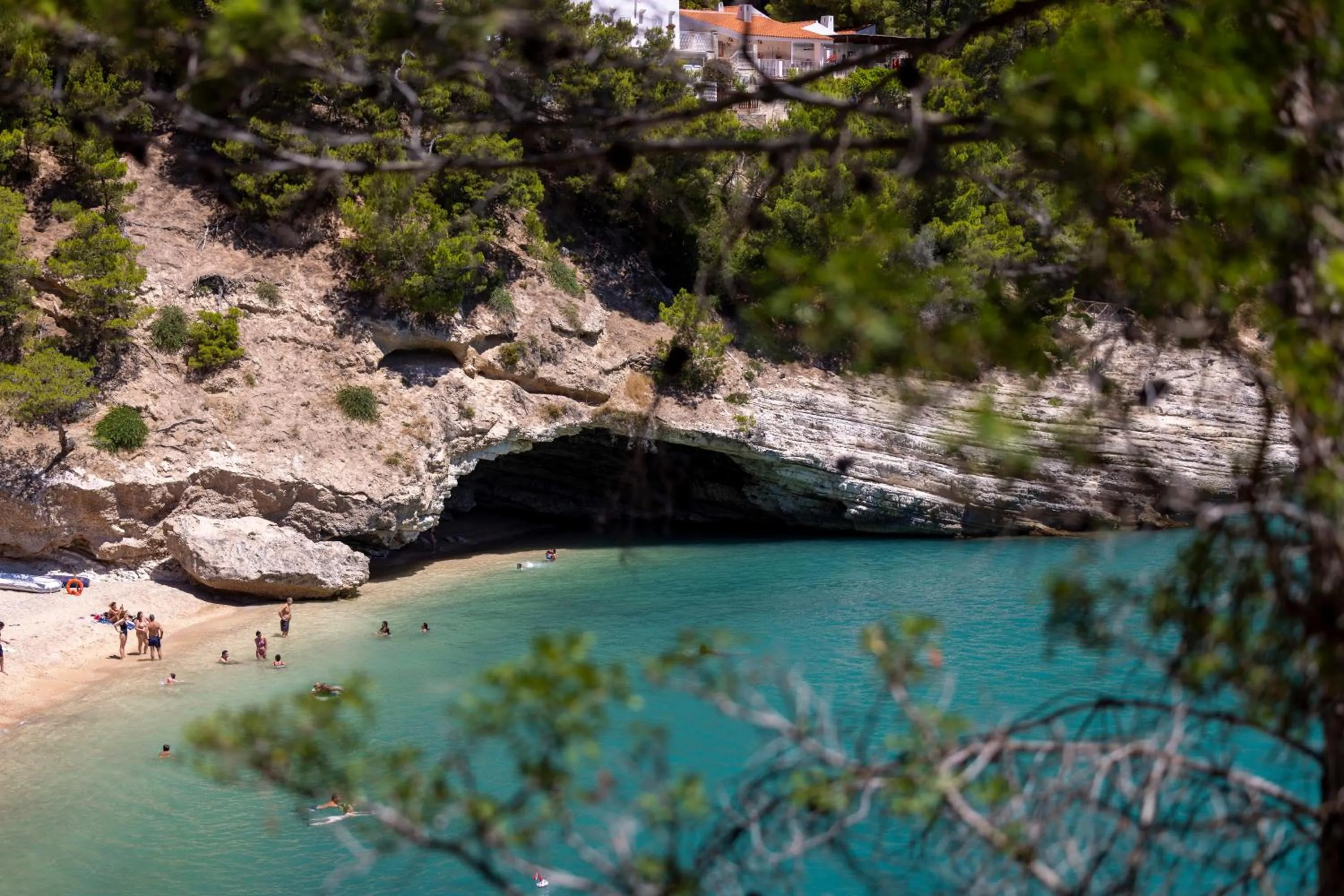 Sea view in Hotel degli Ulivi