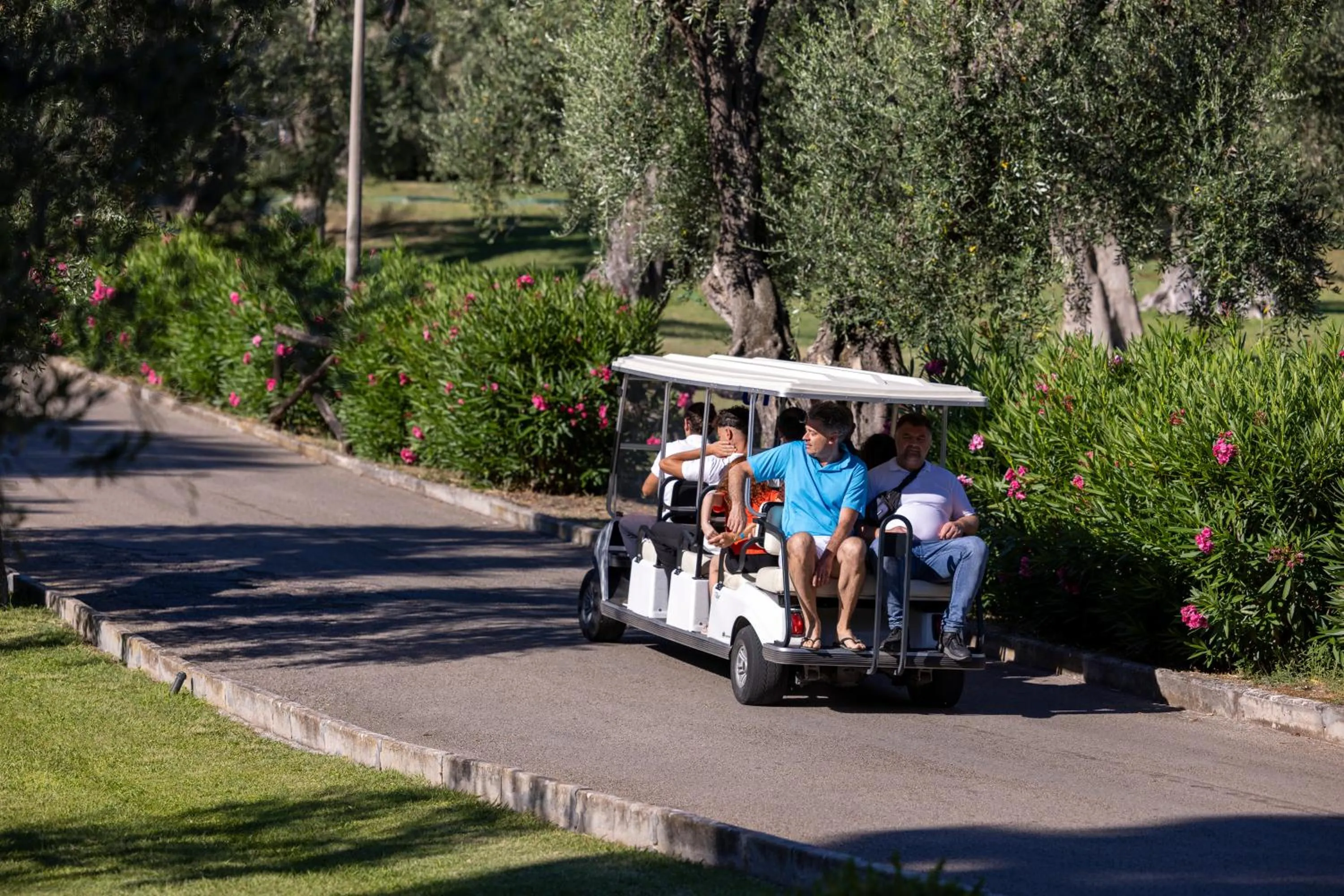 shuttle in Hotel degli Ulivi