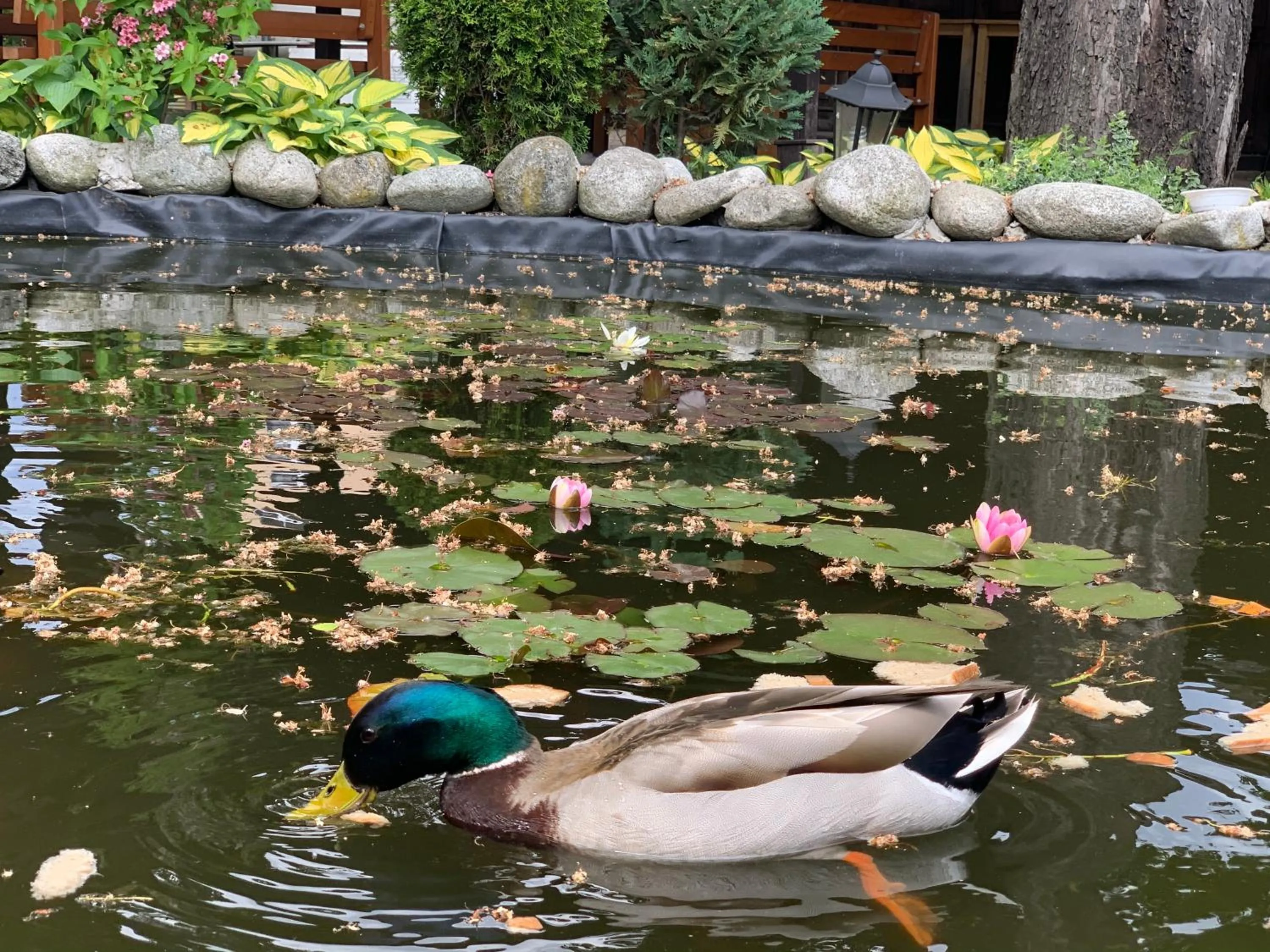 Spring in Hotel Braník