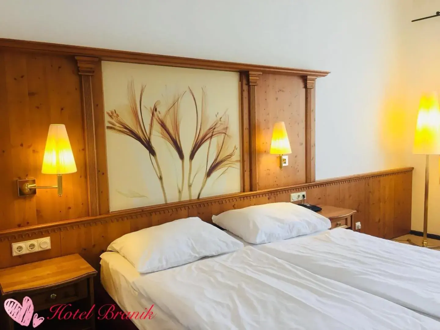 Comfort Double Room - single occupancy in Hotel Braník Comfort Double Room - single occupancy in Hotel Braník