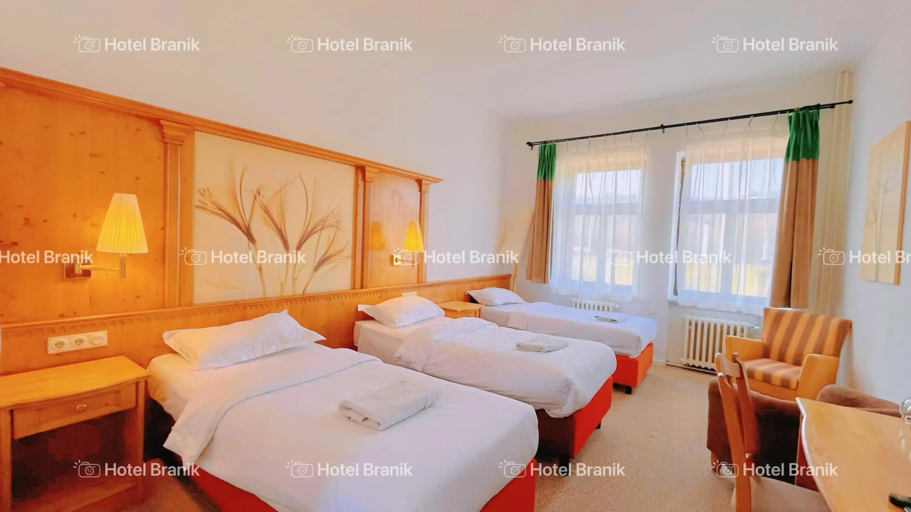 Triple Room - single occupancy in Hotel Braník Triple Room - single occupancy in Hotel Braník