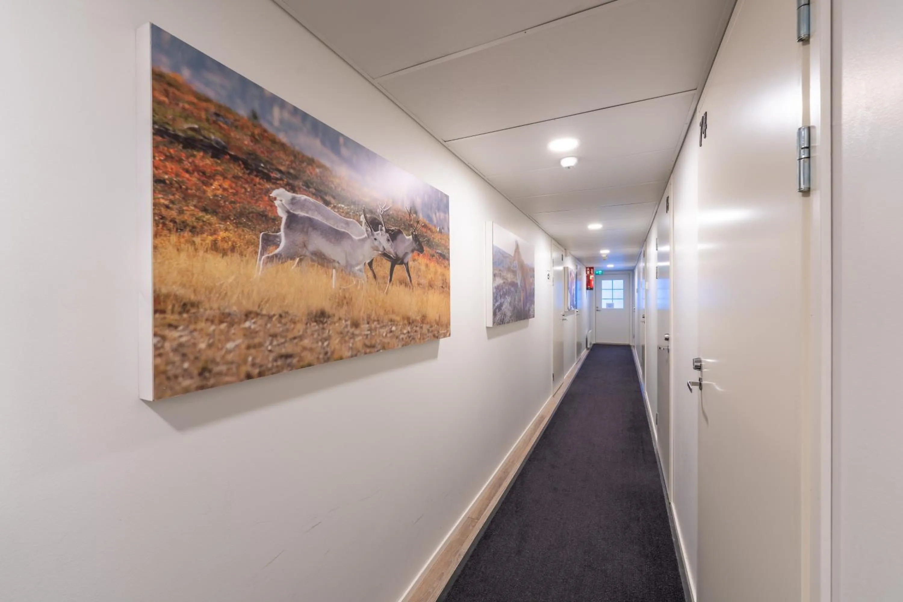 Lobby or reception in Kuukkeli Saariselkä Inn