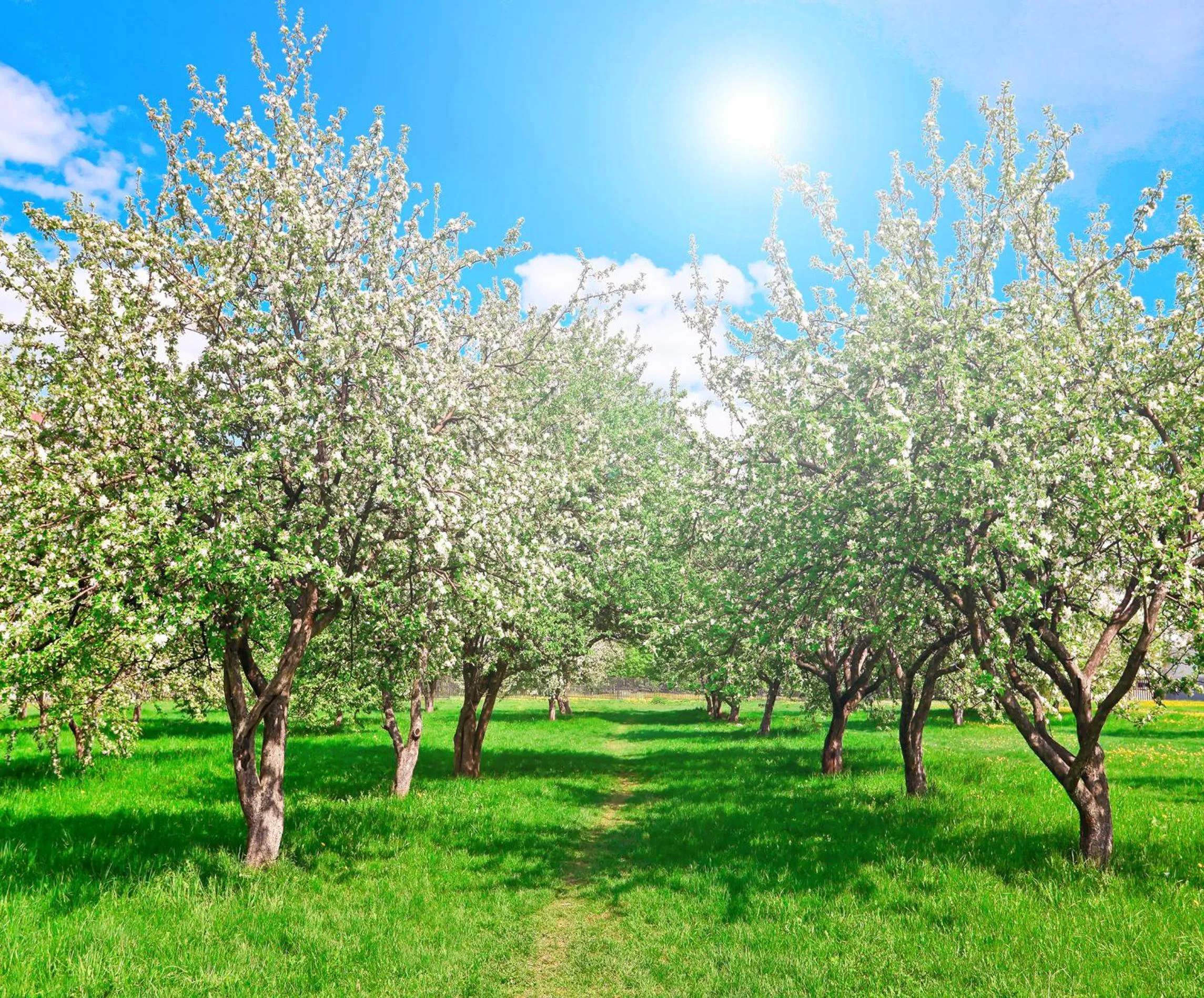 Area and facilities in Hotel Am Stadtpark