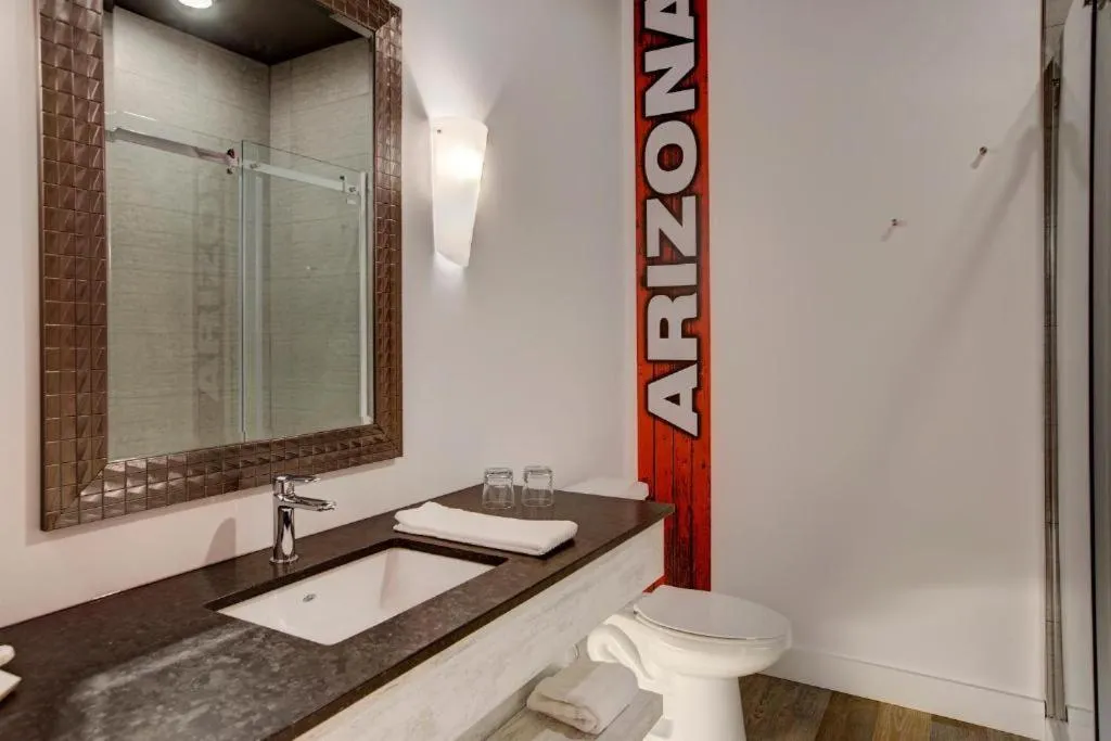 Bathroom in Hotel Historique et Manoir Route 66