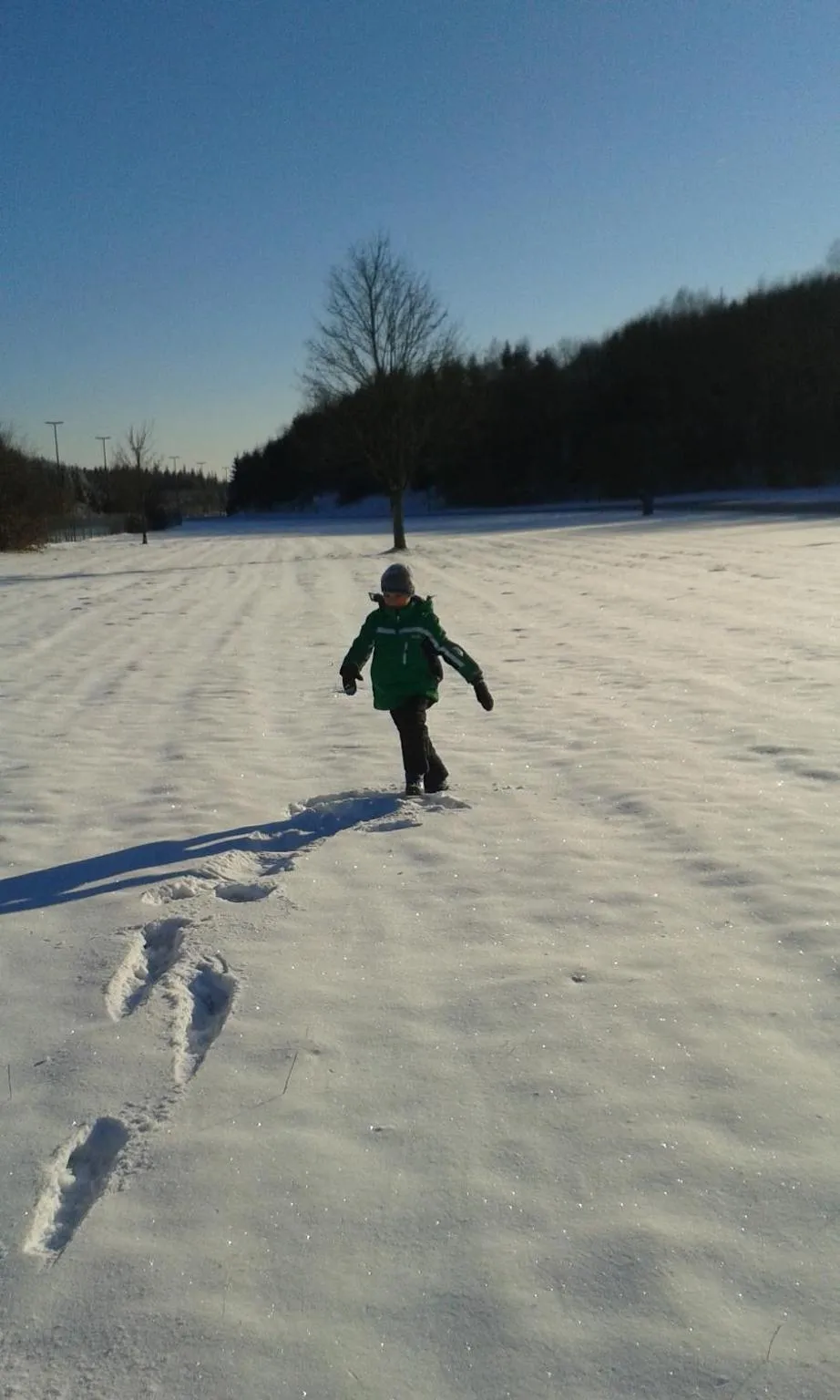 La Fleur et Le Soleil (F&S)