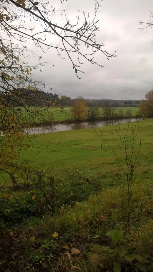 Autumn in La Fleur et Le Soleil (F&S)