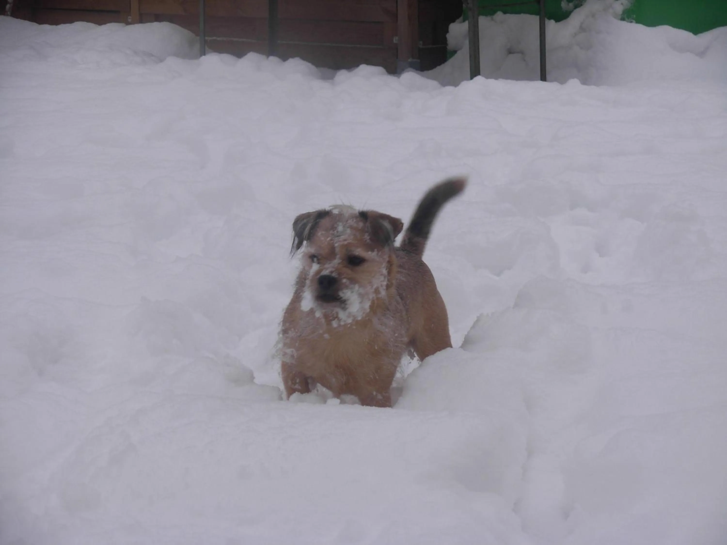 Natural landscape in La Fleur et Le Soleil (F&S)