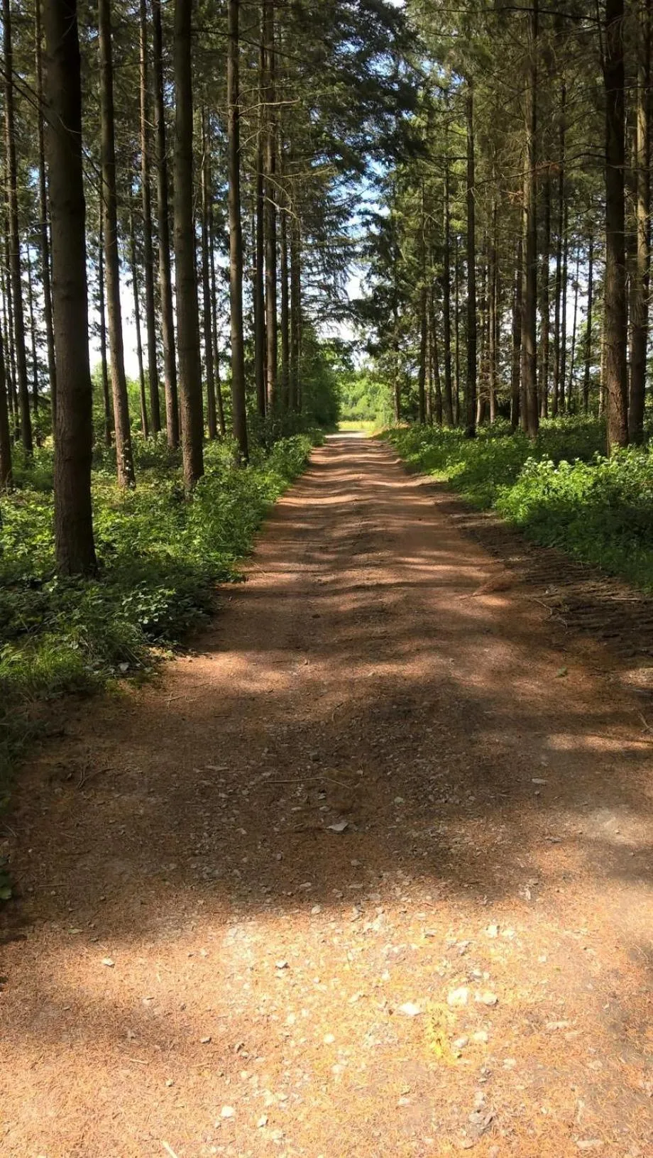 Day in La Fleur et Le Soleil (F&S)