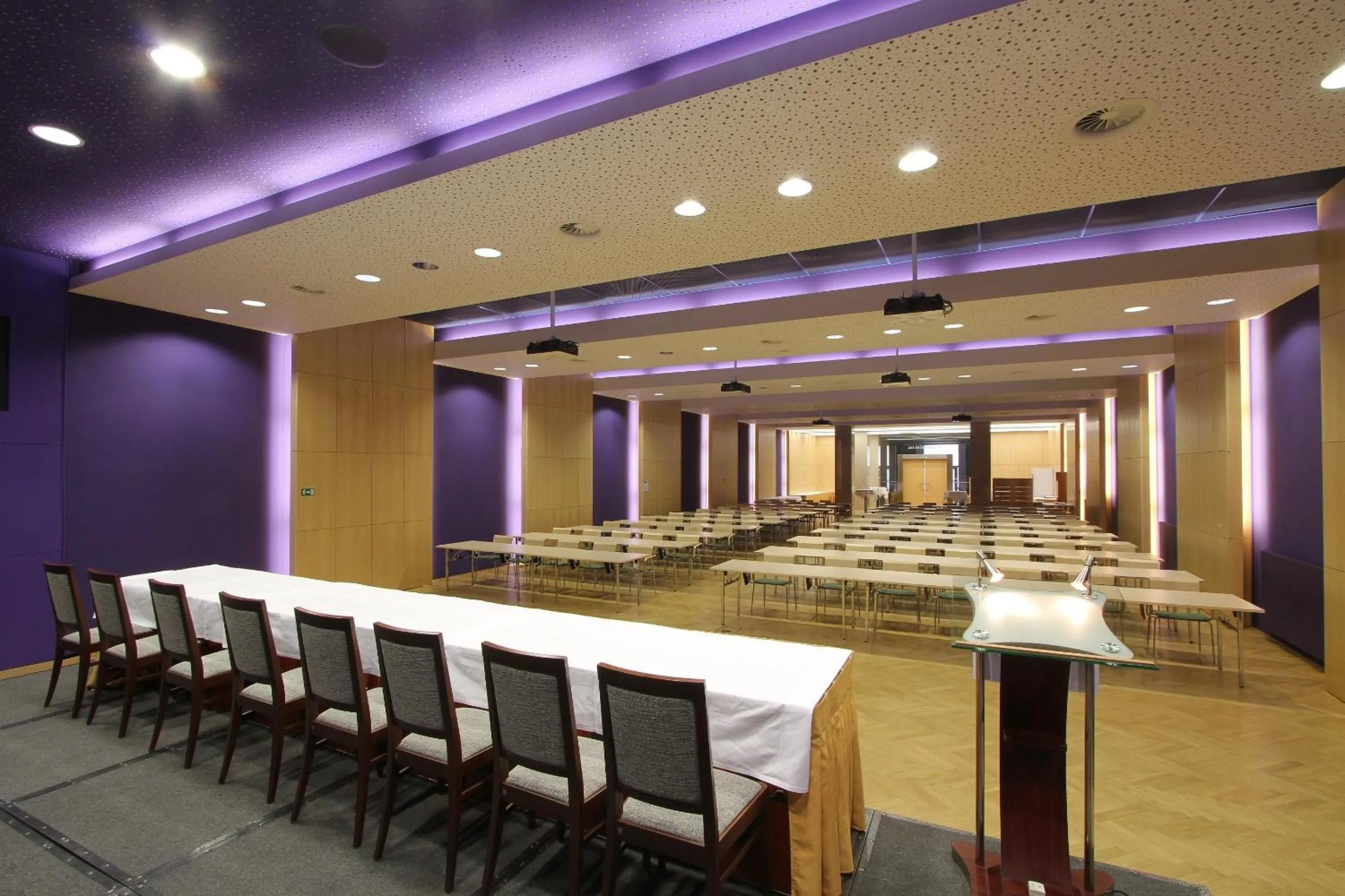 Business facilities in Hotel DAP