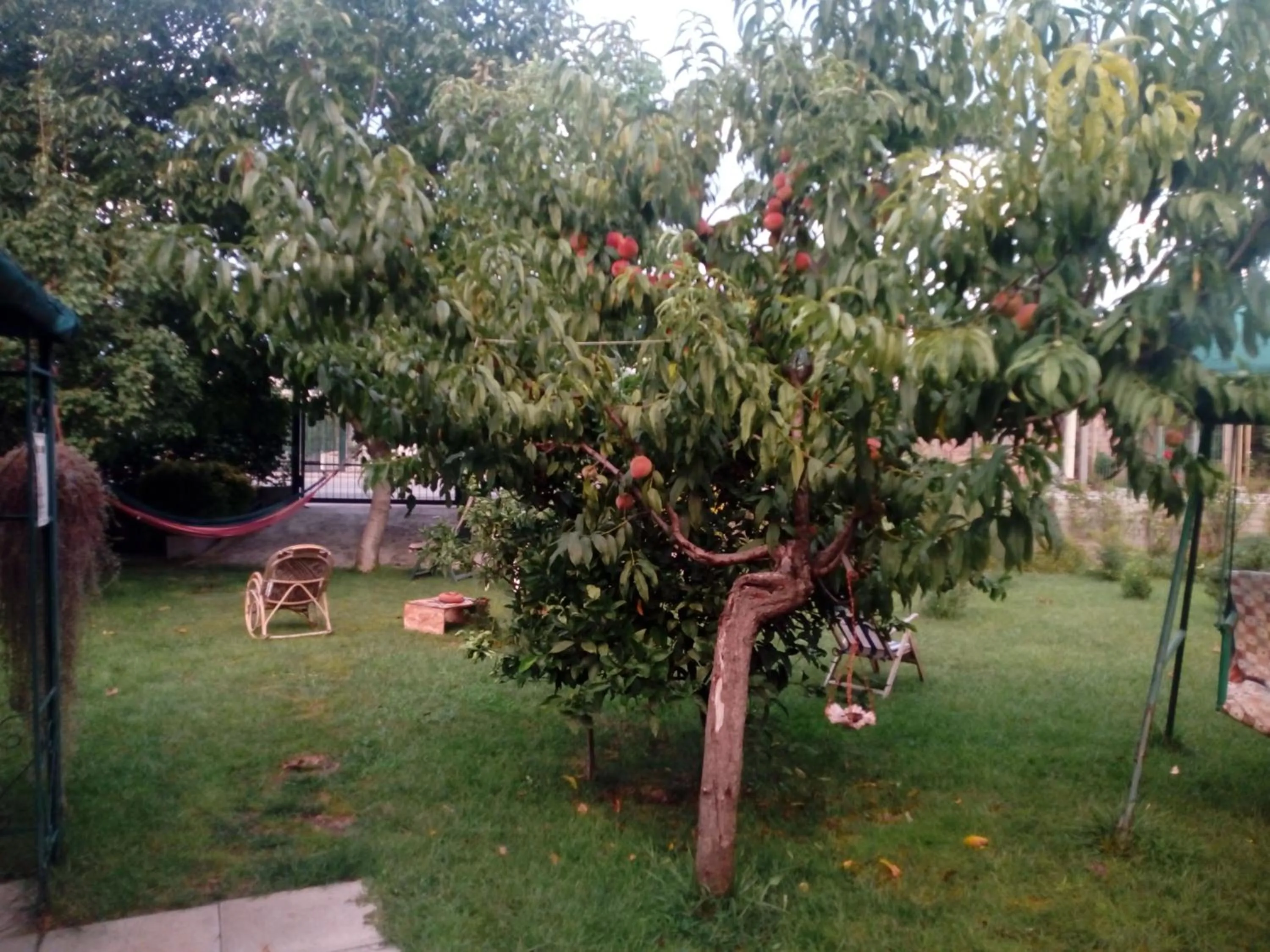 Garden in Green Garden