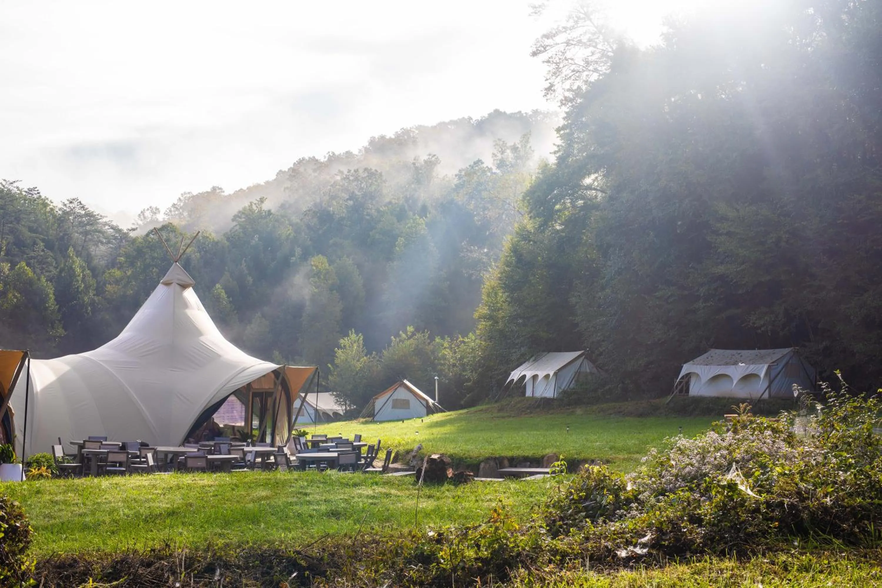 Natural landscape in Under Canvas Great Smoky Mountains