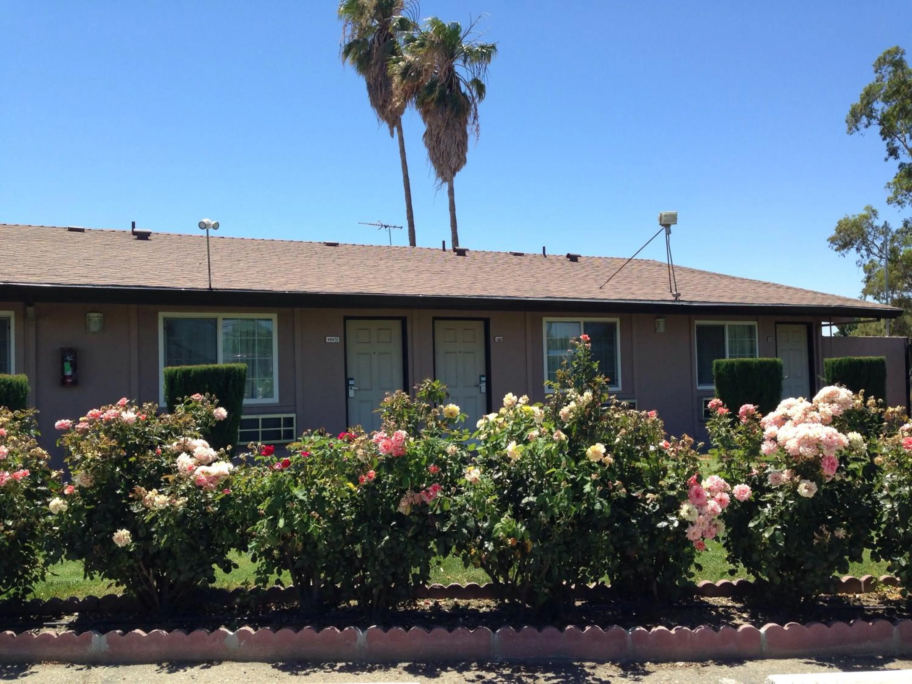 Maple Inn and Suites Los Banos