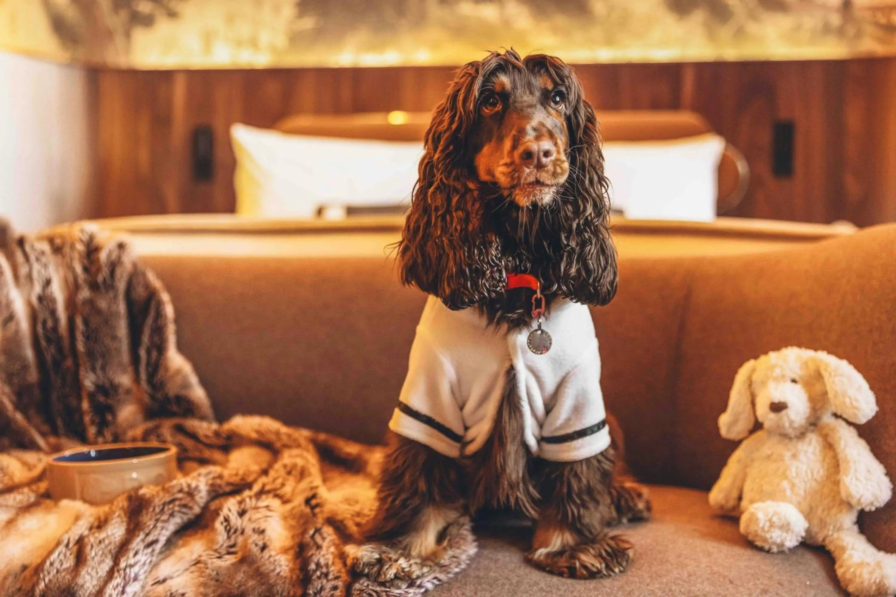 Other in St Pancras London, Autograph Collection