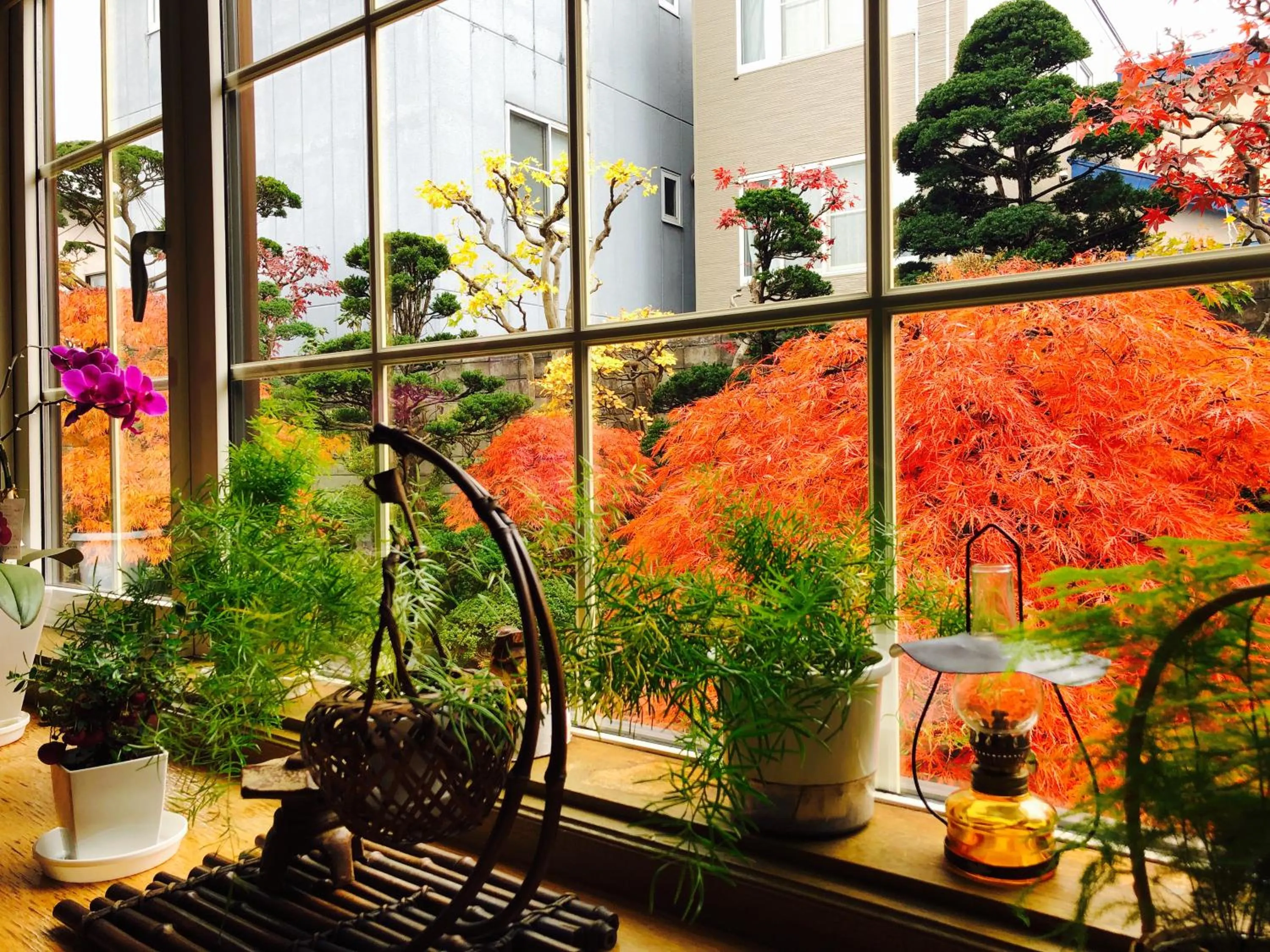 Restaurant/places to eat in Nishikien inn