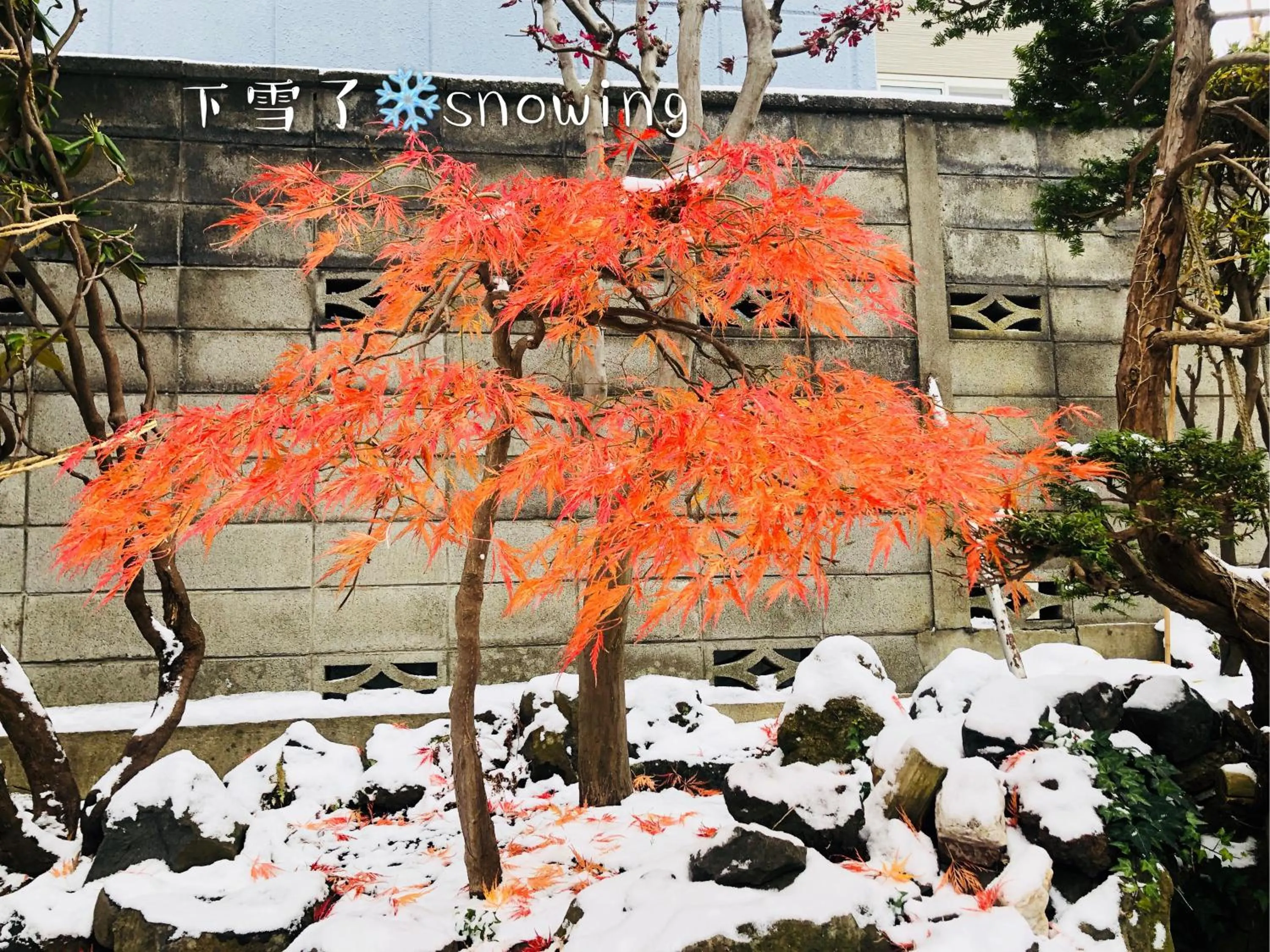 Garden view in Nishikien inn