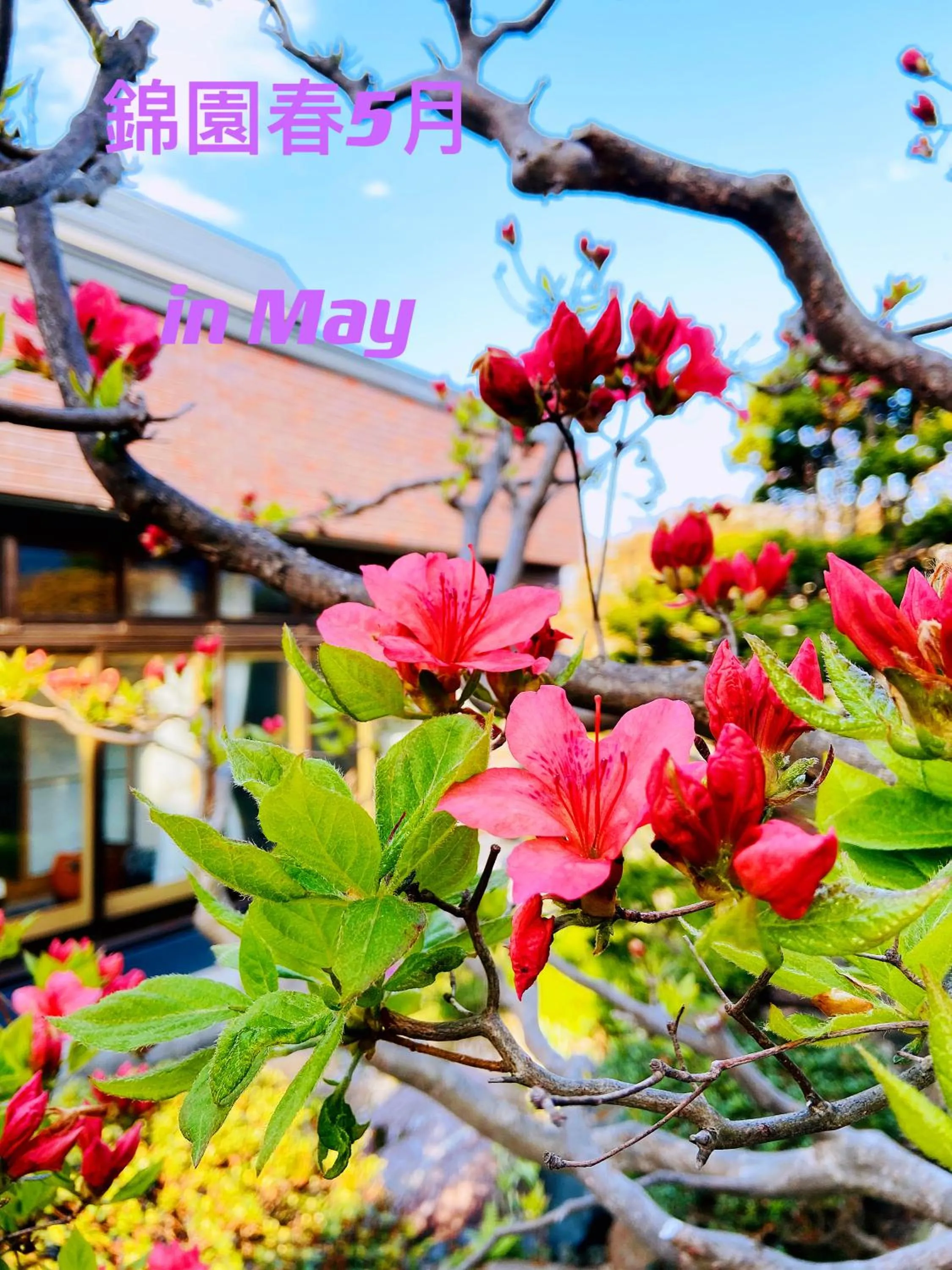 Spring in Nishikien inn