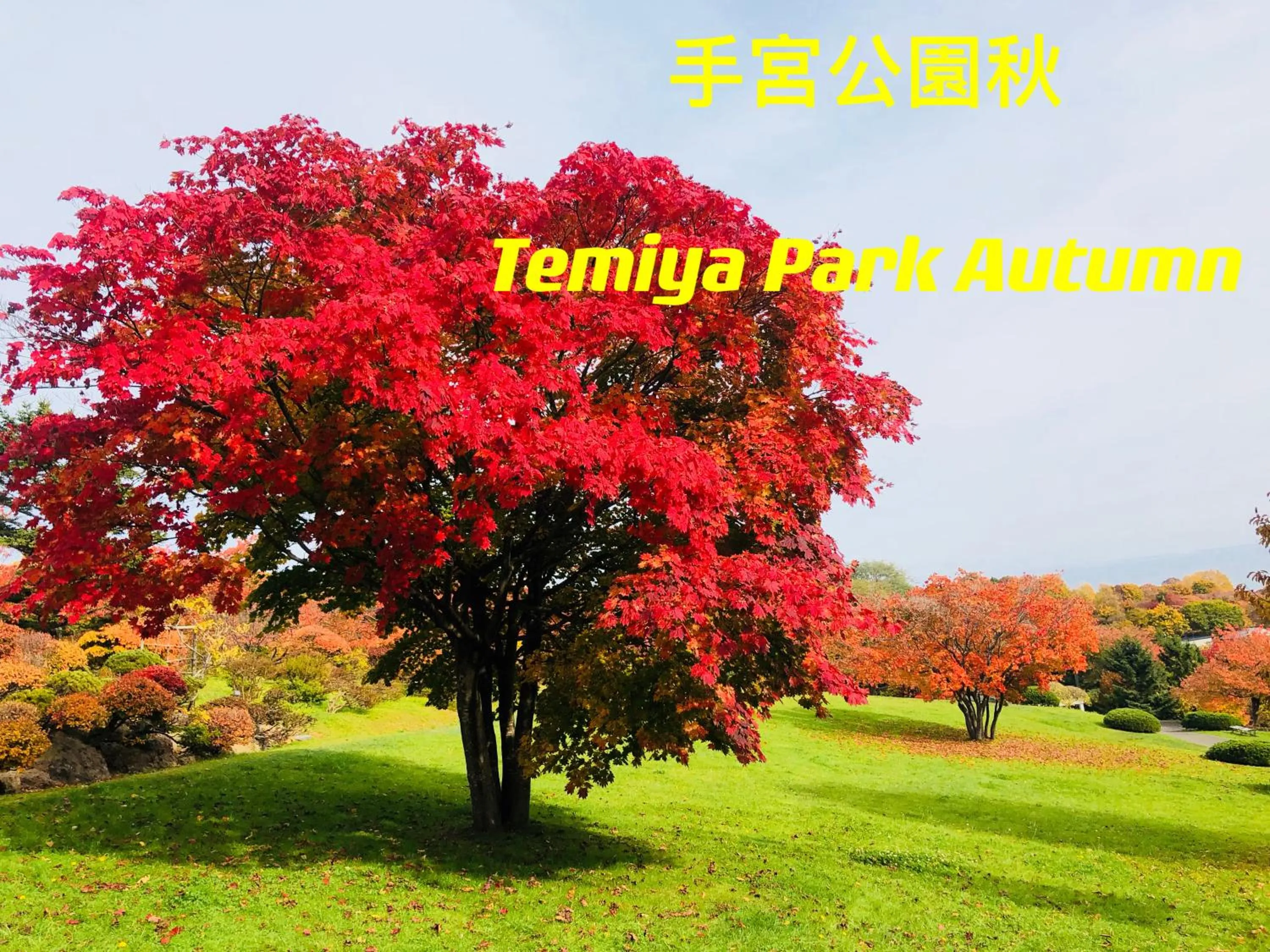 Natural landscape in Nishikien inn